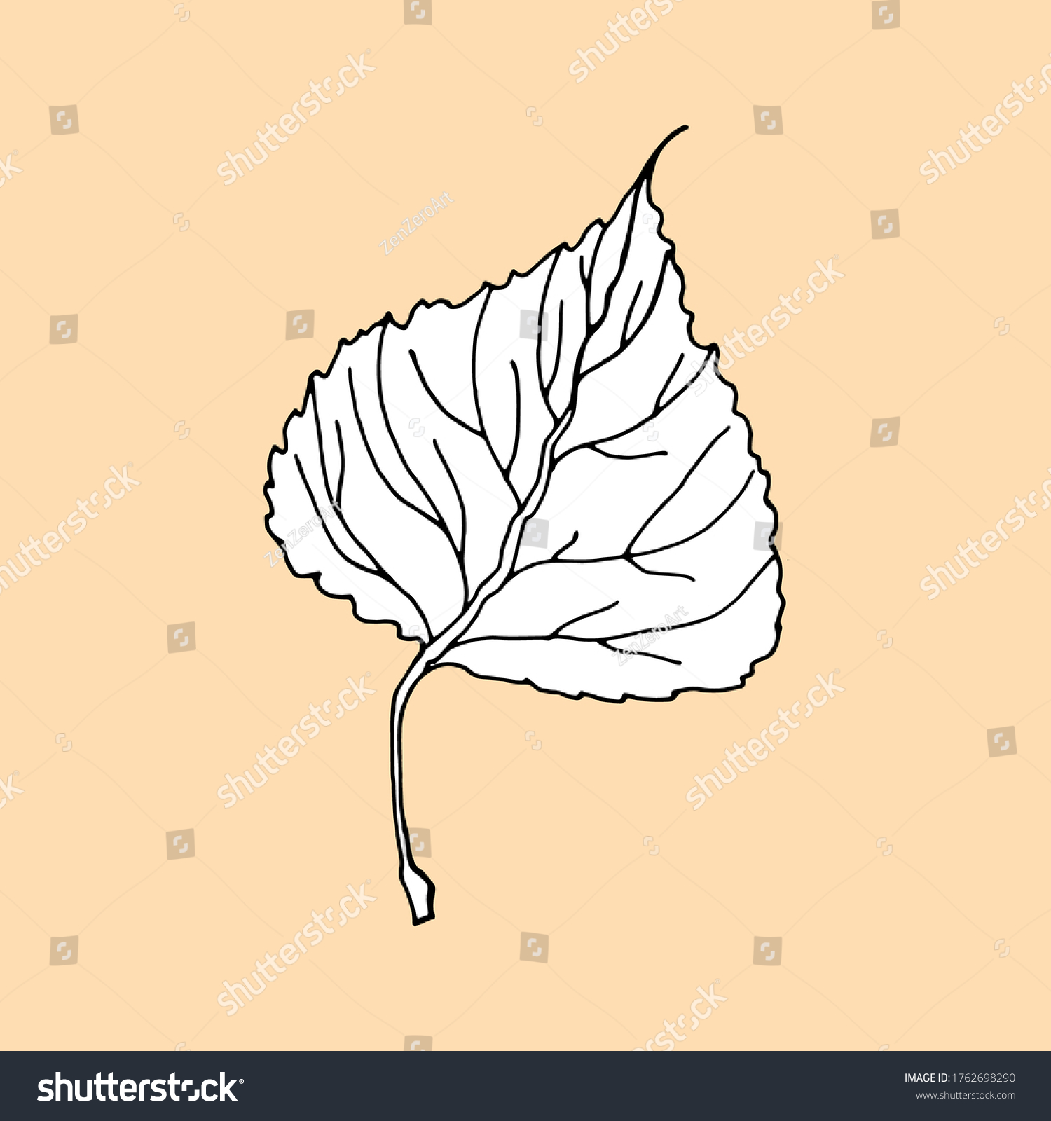 Stock Vector Aspen Leaf Silhouette Icon White Fill Color Ink Sketch Hand Drawn Illustration Flat Doodle Style 1762698290 