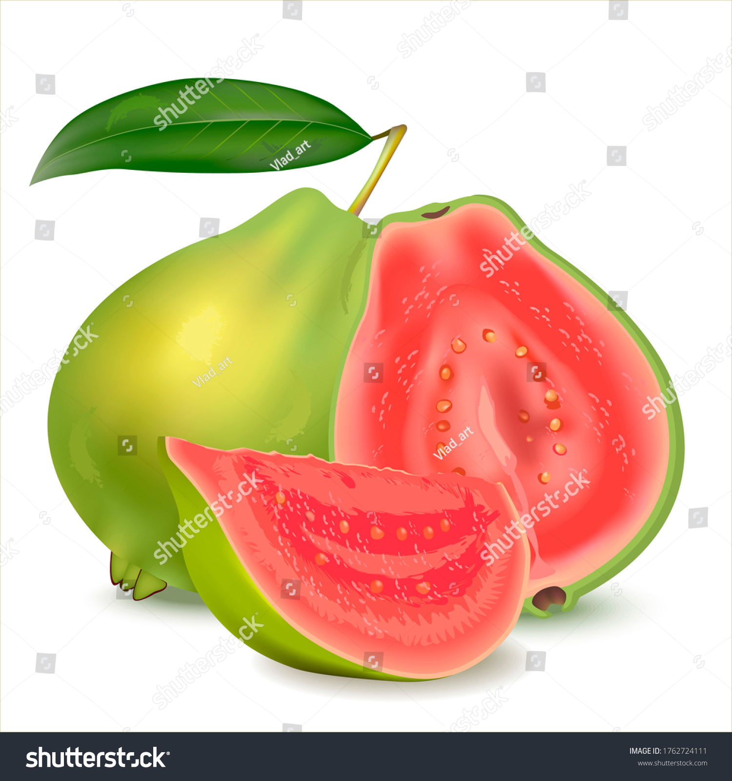 Realistic Illustration Guava Fresh Whole Guava Stock Illustration ...