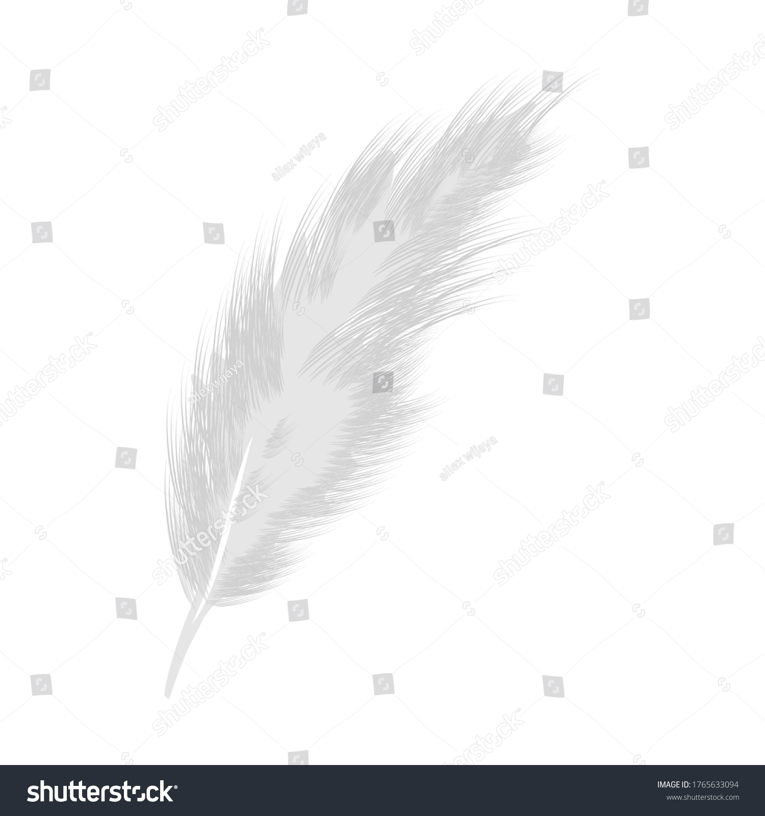 Feathers White Background Chicken Animal Vector Stock Vector (Royalty