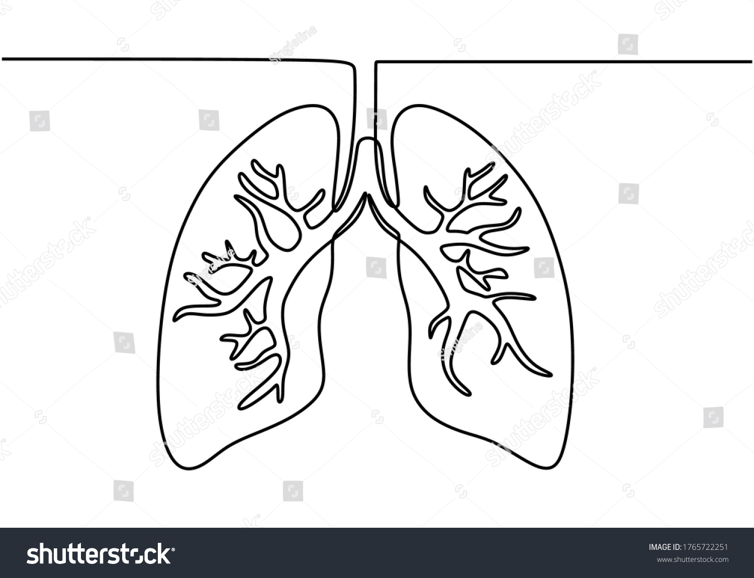 Single Continuous Line Art Lungs Healthy Stock Vector (Royalty Free ...