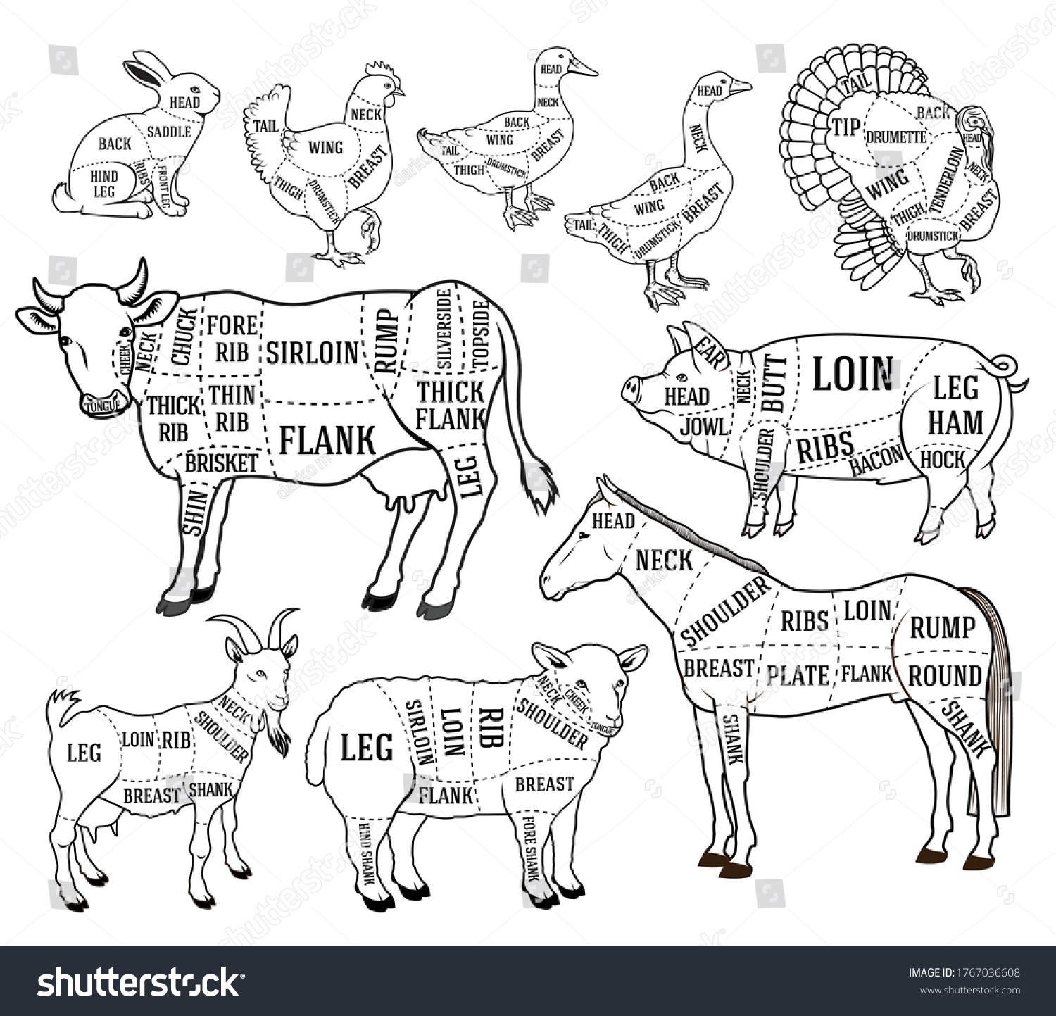 Vector Butcher Diagram Chart Set Cutting Stock Vector (Royalty Free ...