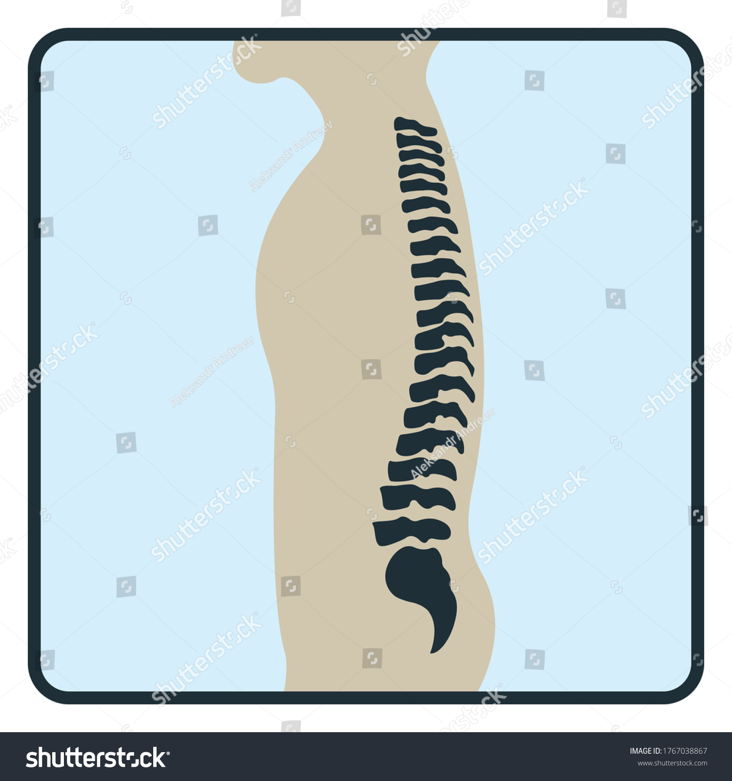 Spine Backbone Bone Xray Concept Icon Stock Vector (Royalty Free ...