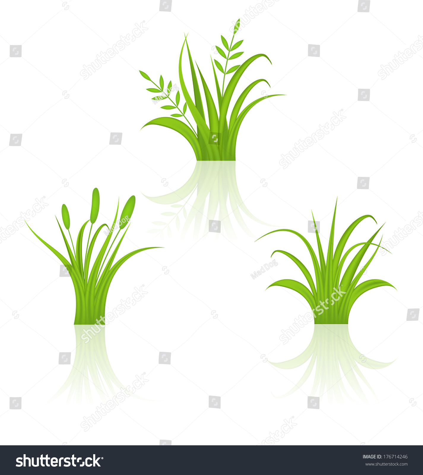 Illustration Set Green Grass Isolated On Stock Vector Royalty Free Shutterstock