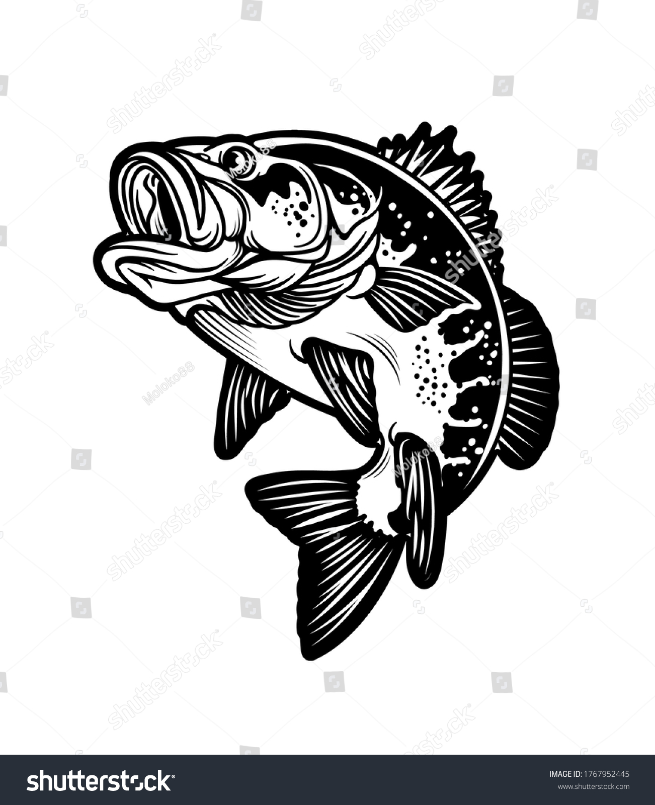 Largemouth Bass Fish Carnivorous Freshwater Gamefish Stock Vector ...