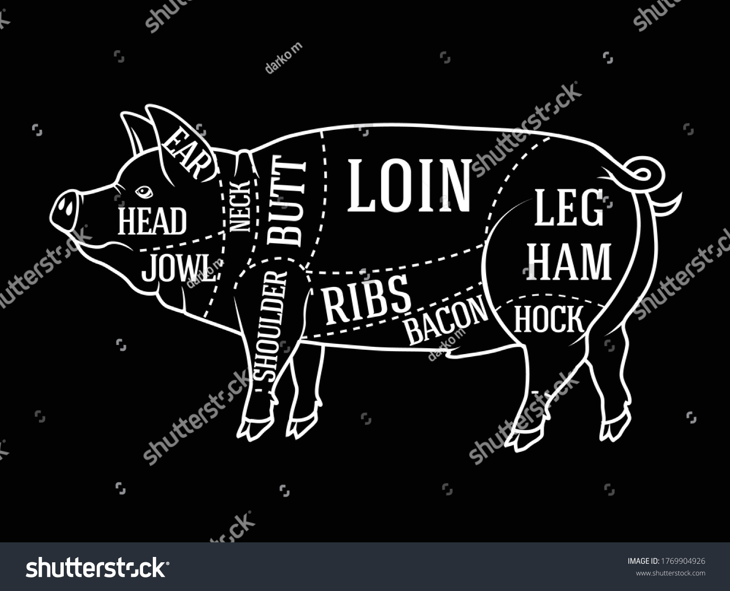 Vector Butcher Diagram Guide Cutting Pork Stock Vector (royalty Free 