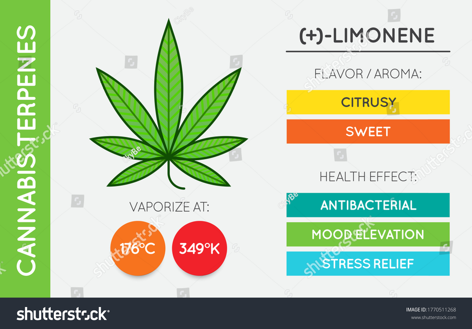 Cannabis Terpene Information Chart Aroma Flavor Stock Vector (Royalty