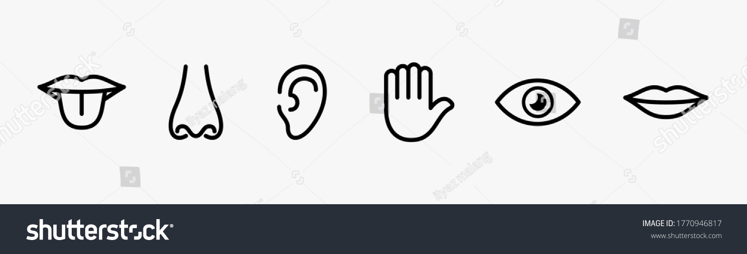 Human Senses Icon Set Vector Line Stock Vector (Royalty Free ...