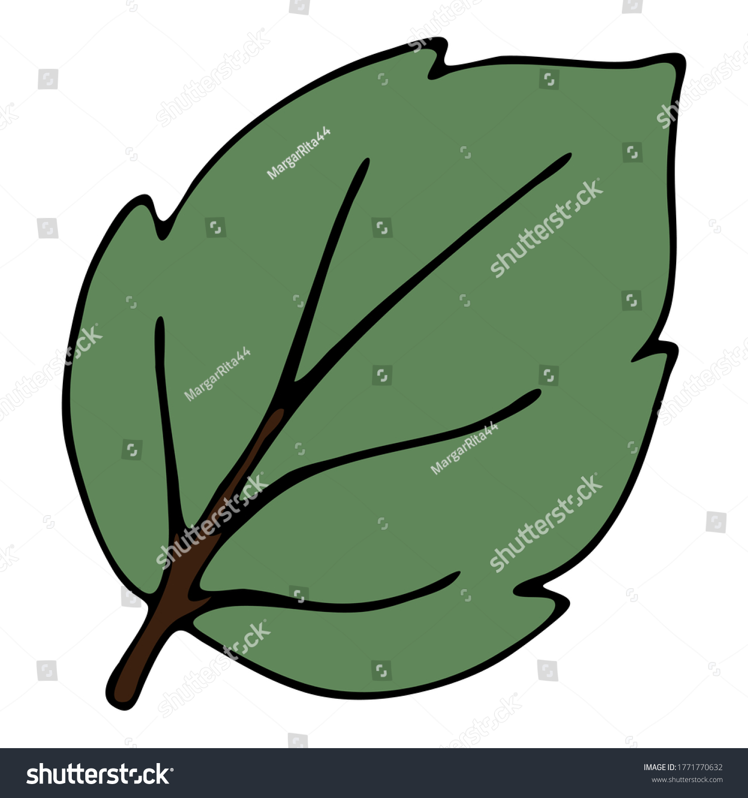 Green Leaf Veins Doodle Style Vector Stock Vector (Royalty Free ...