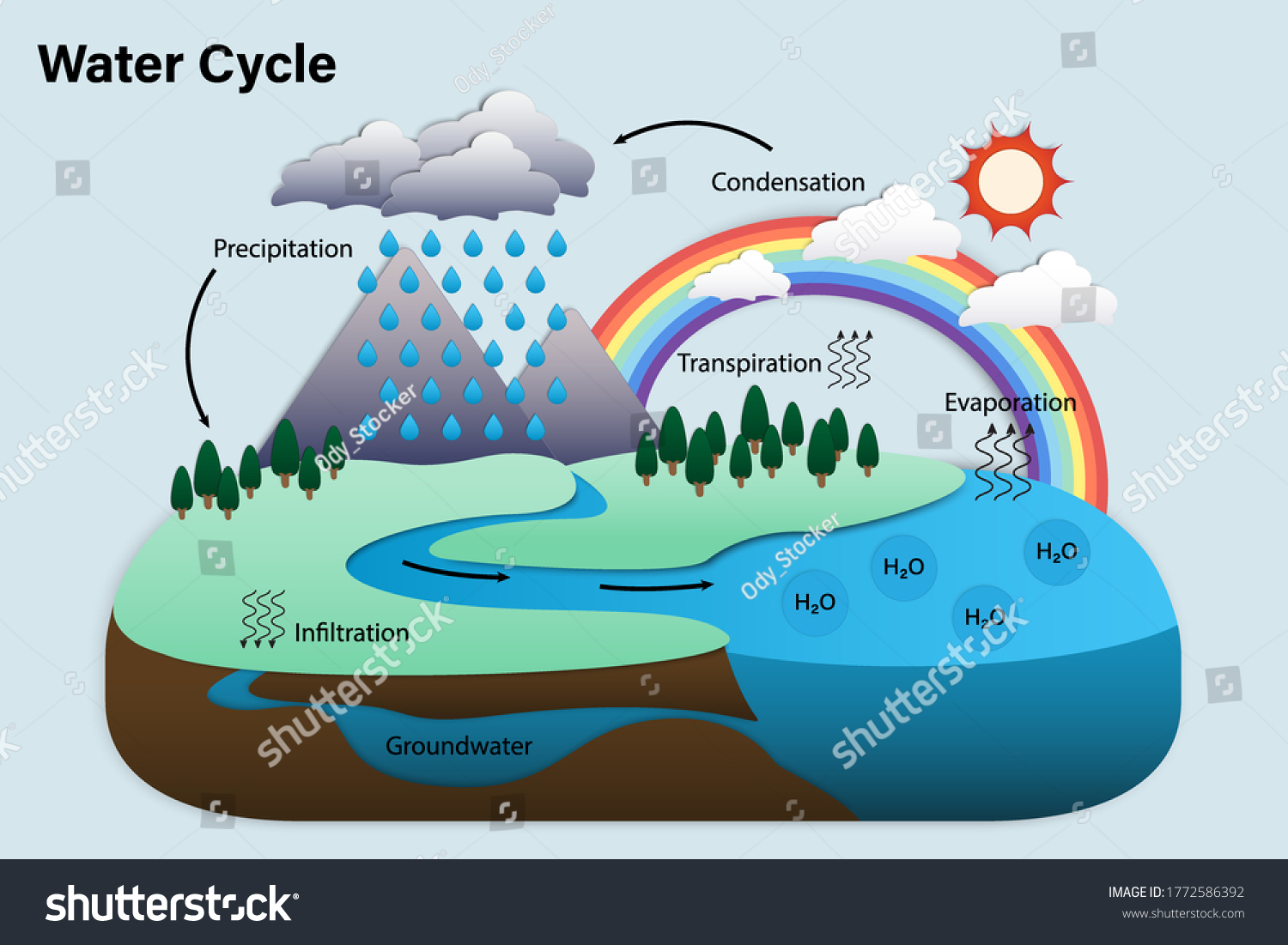 Diagram Water Cycle Hydrologic Cycle Biogeochemical Stock Vector ...