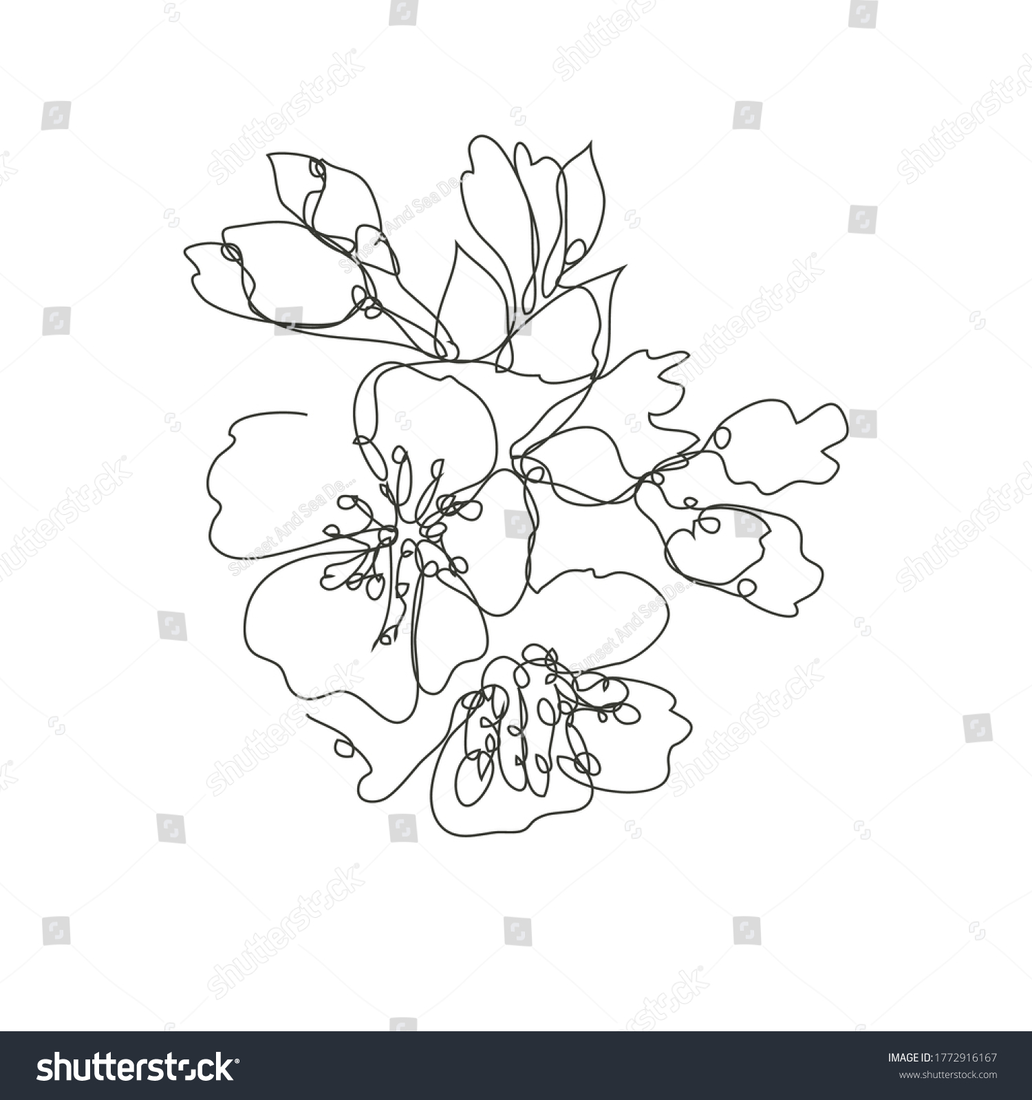 Decorative Hand Drawn Cherry Blossom Sakura Stock Vector (Royalty Free ...