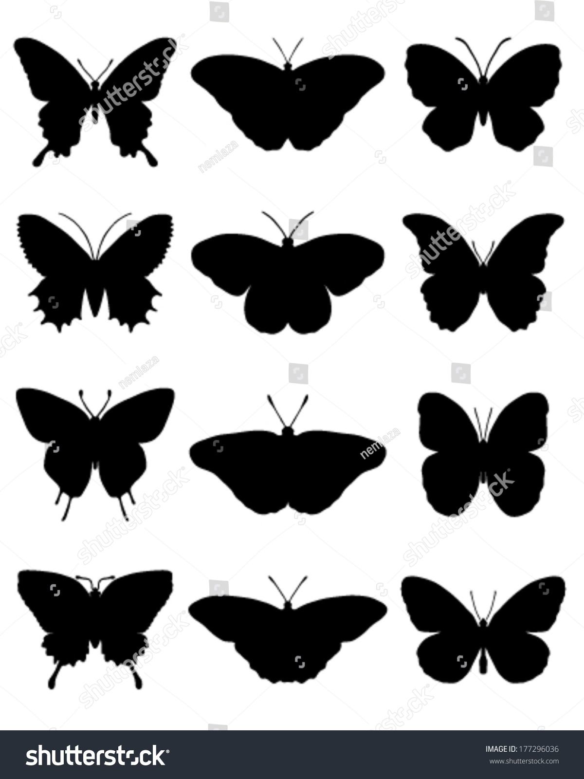 Black Silhouettes Butterflies Vector Stock Vector (Royalty Free ...