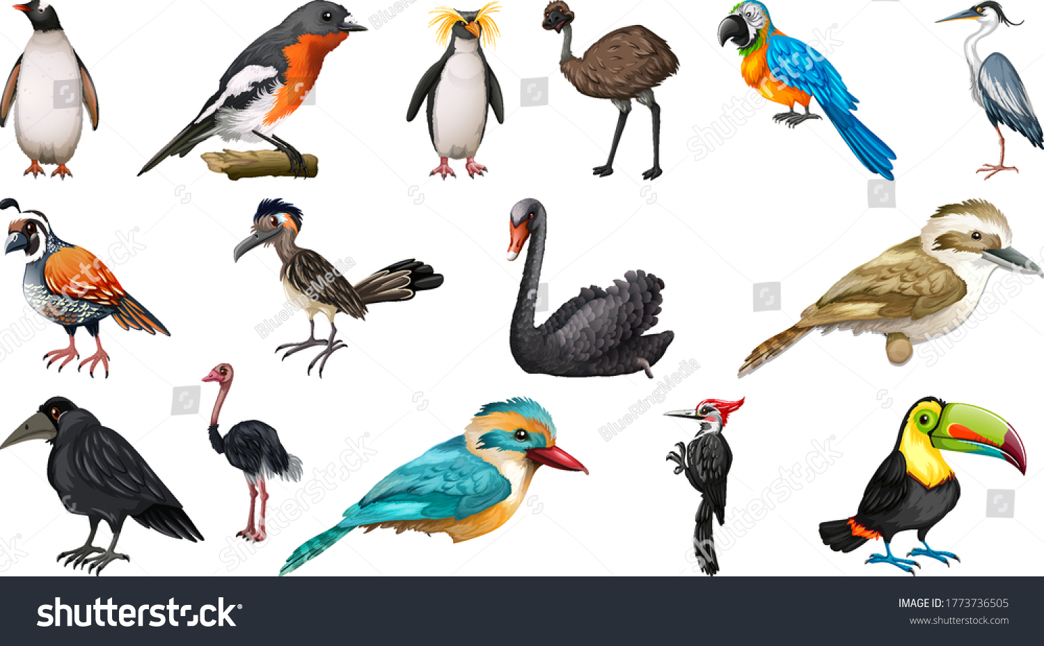 Set Different Birds Cartoon Style Isolated Stock Vector (Royalty Free ...