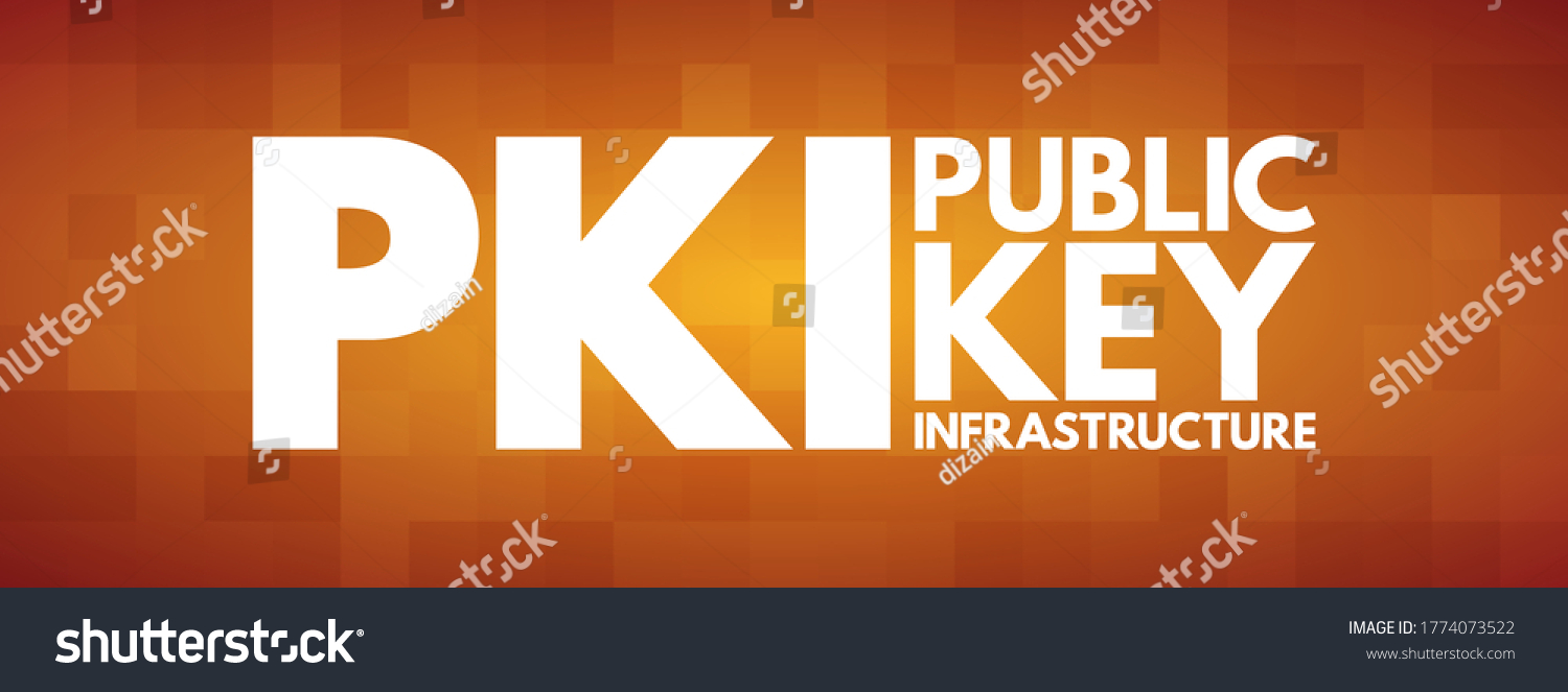 Pki Public Key Infrastructure Set Roles Stock Vector (Royalty Free ...