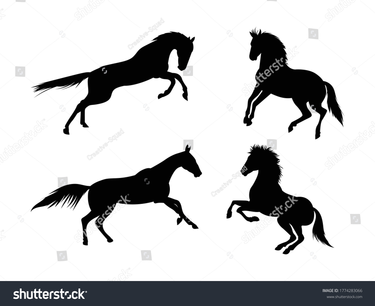 Horse Silhoutte Set Vector Illustration Stock Vector (Royalty Free ...