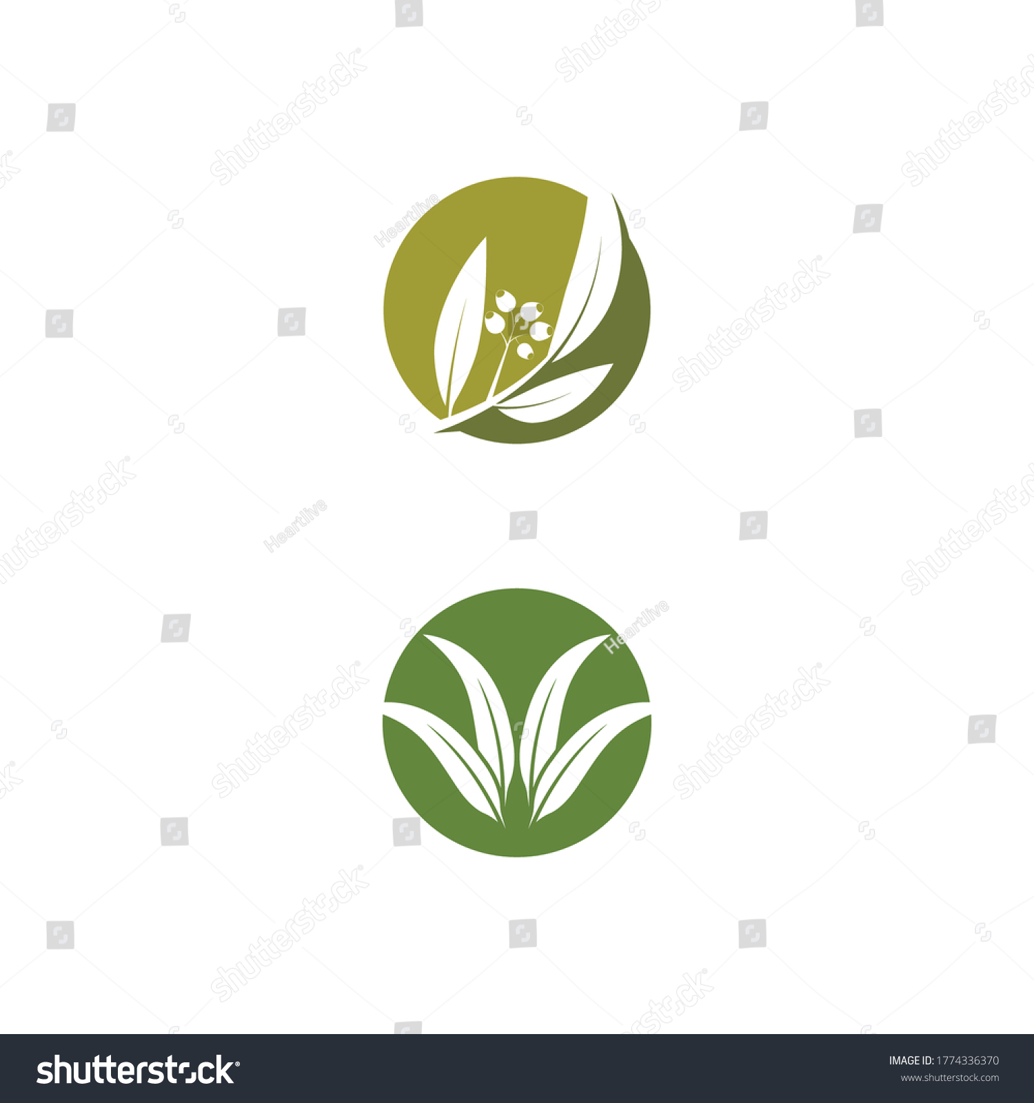 Eucalyptus Leaves Logo Vector Template Design Stock Vector (Royalty ...