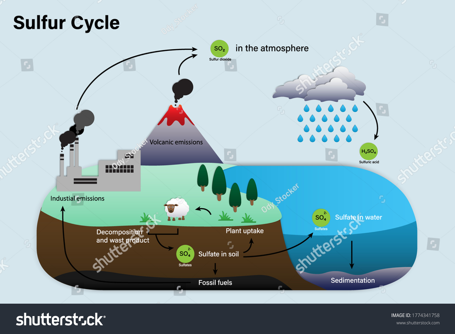 vektor-stok-diagram-sulfur-cycle-biogeochemical-cycle-education-tanpa