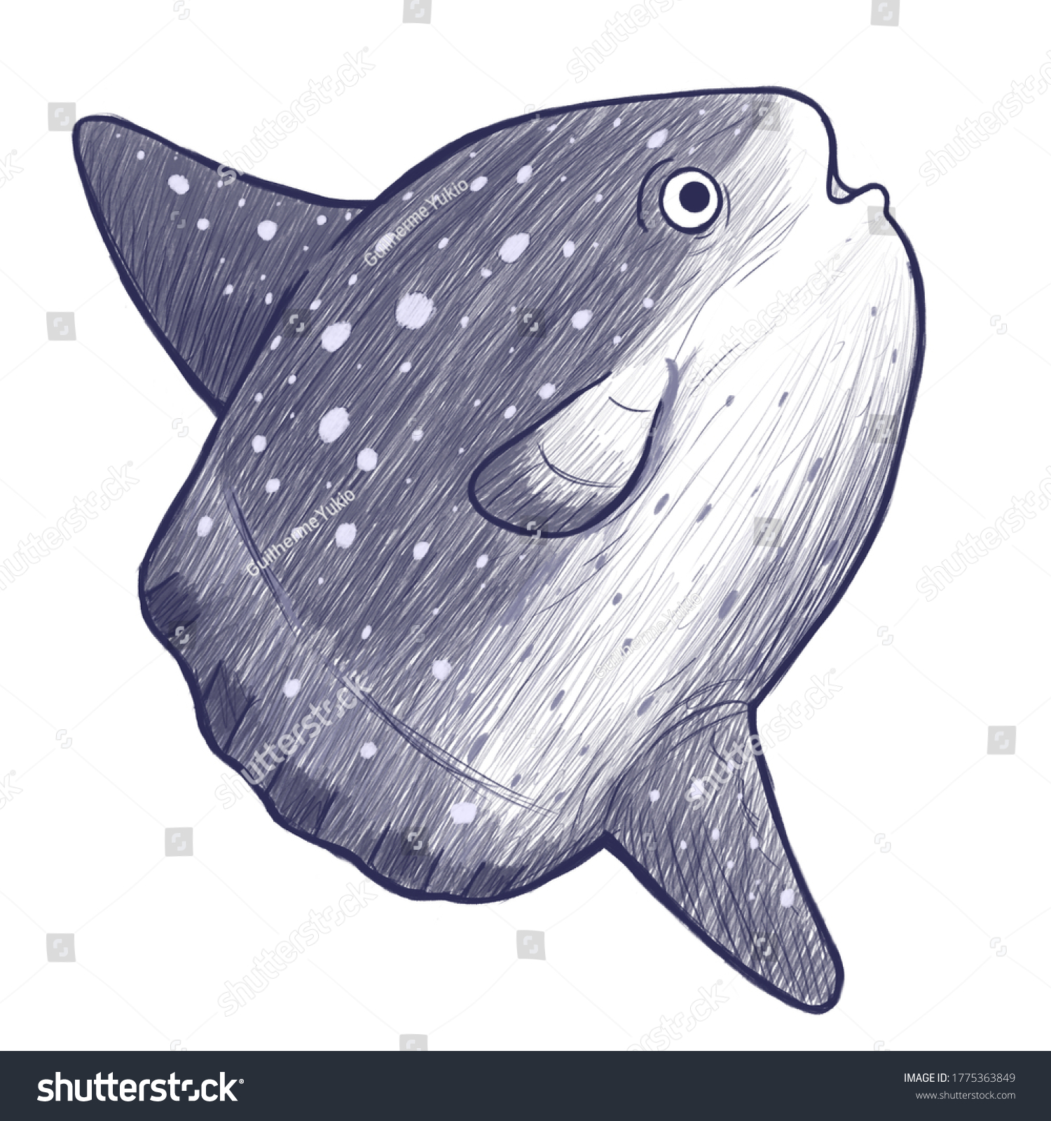 Sketch Illustration Mola Mola Ocean Sunfish Stock Illustration