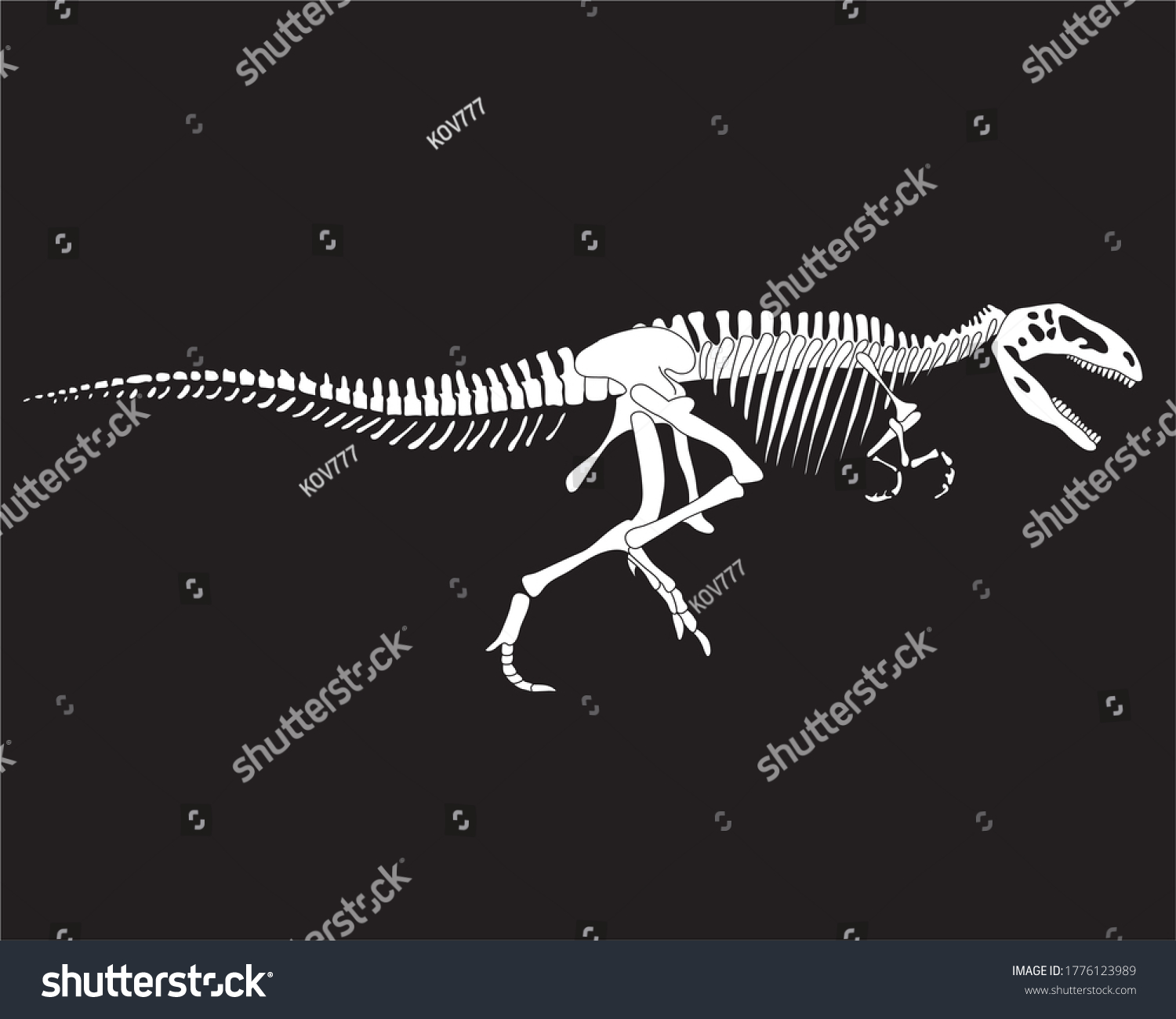 Tyrannosaurus Rex Dinosaur Skeleton Silhouette Isolate Stock Vector ...