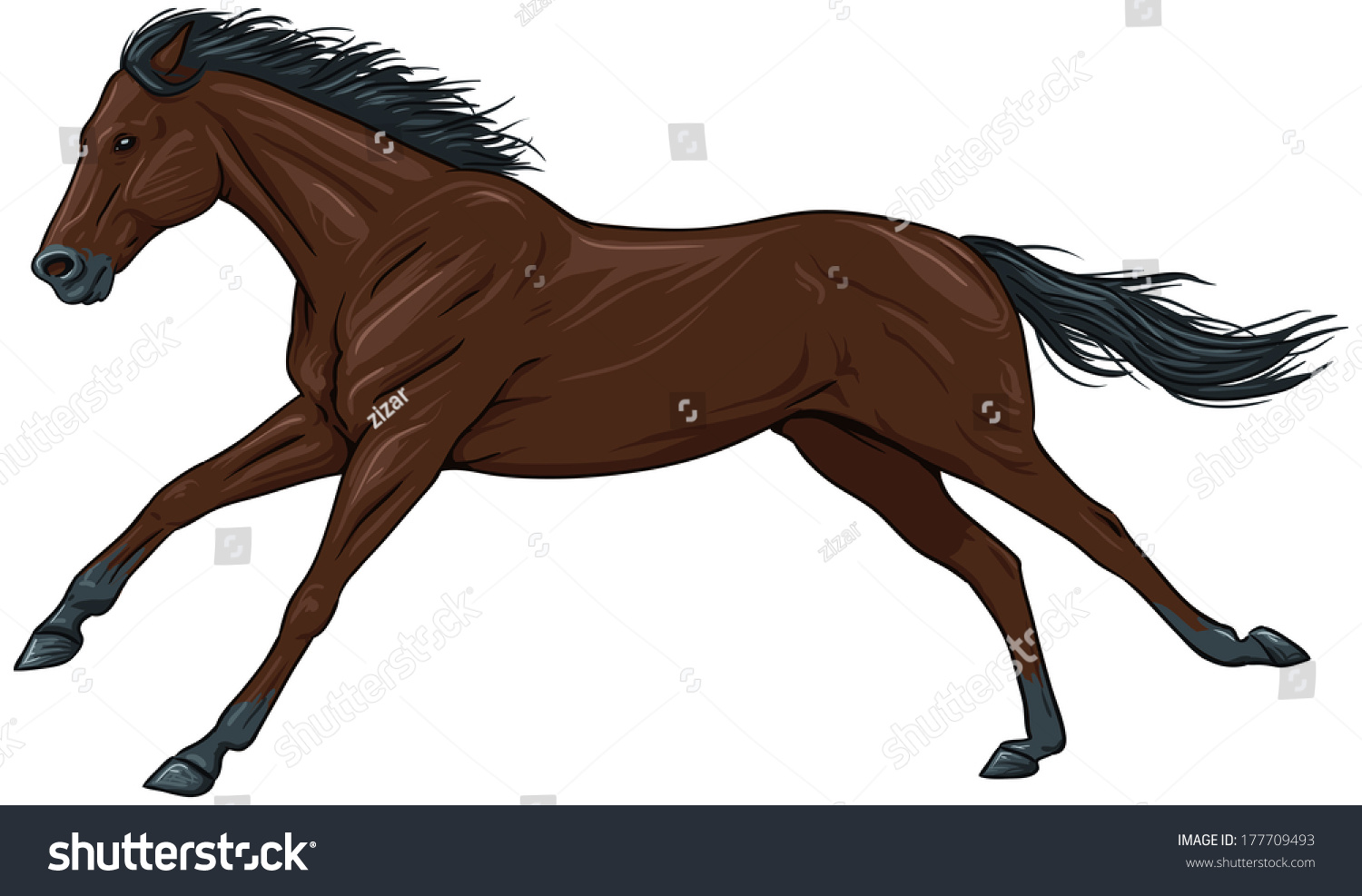 Рассмотрите фотографию коричневой лошади с черными. Коричневая лошадь вектор. Коричневый конь в полный рост. Контур лошади коричневая. Коричневый конь в полный рост прыгает.