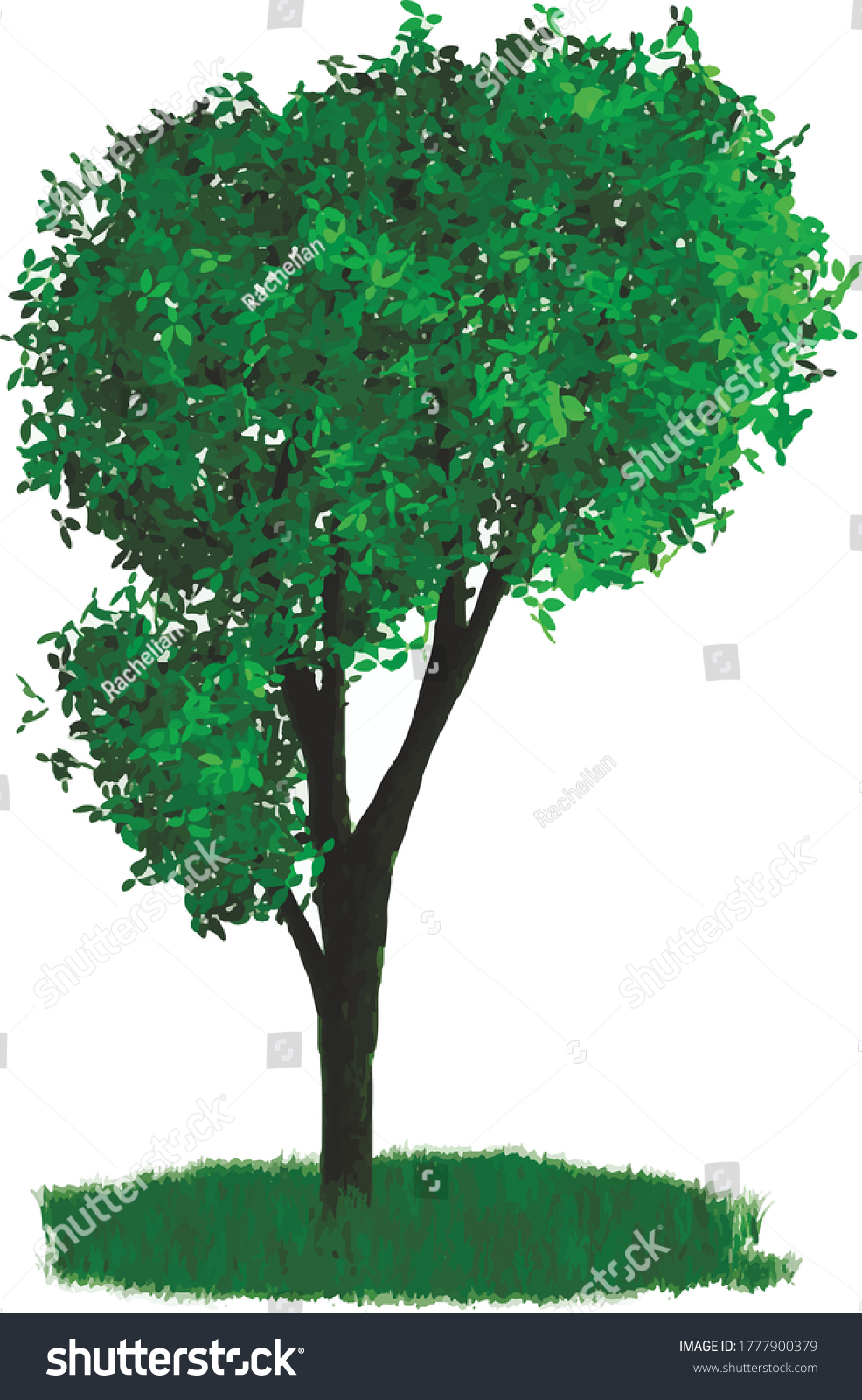Detailed Tree Vector Design Season Stock Vector (Royalty Free) 1777900379 Shutterstock Detailed Tree Vector Design Season Stock Vector (Royalty Free) 1777900379 Shutterstock