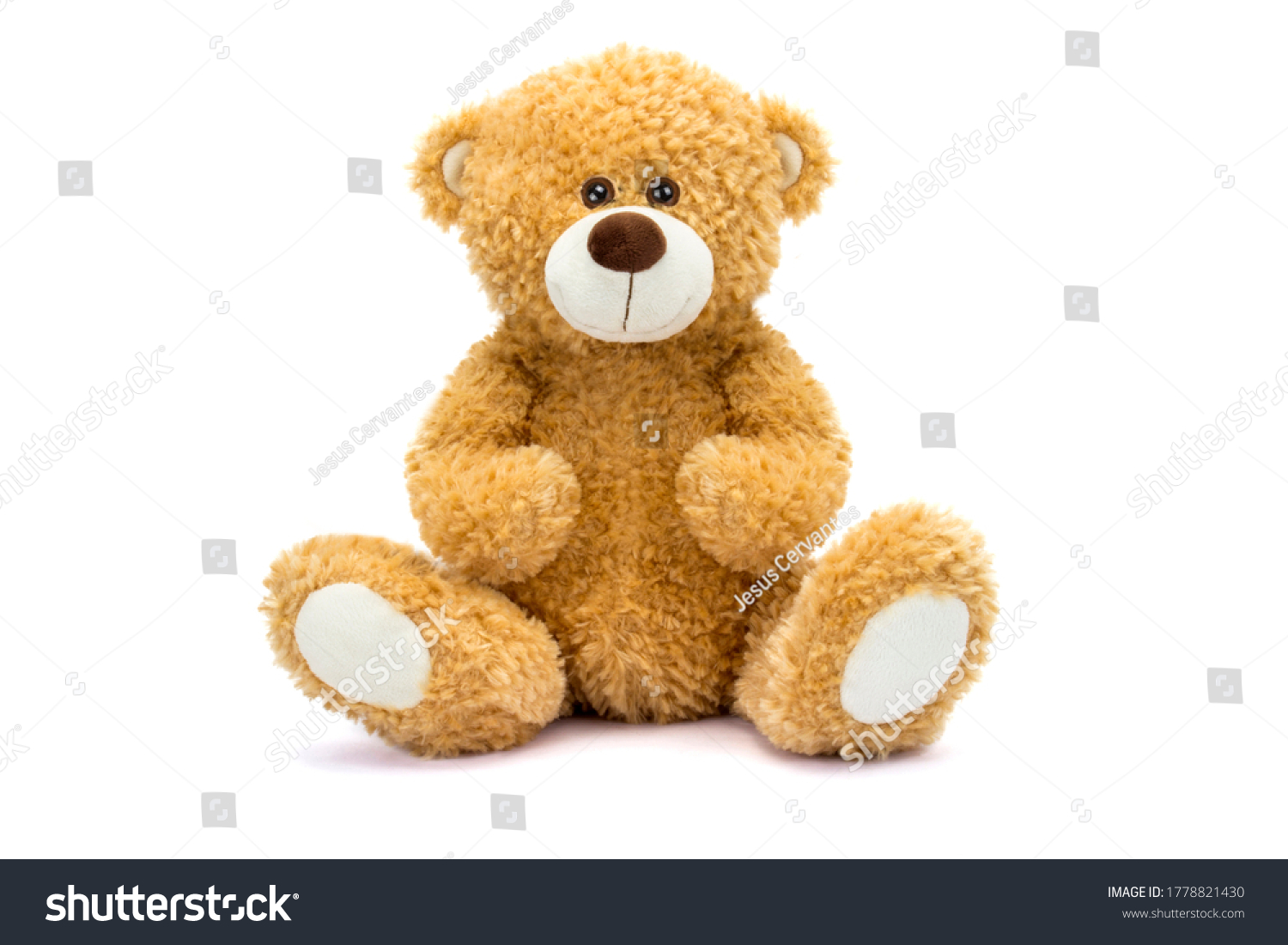 Teddy Bear Soft Toy Shadow On Stock Photo 1778821430 | Shutterstock