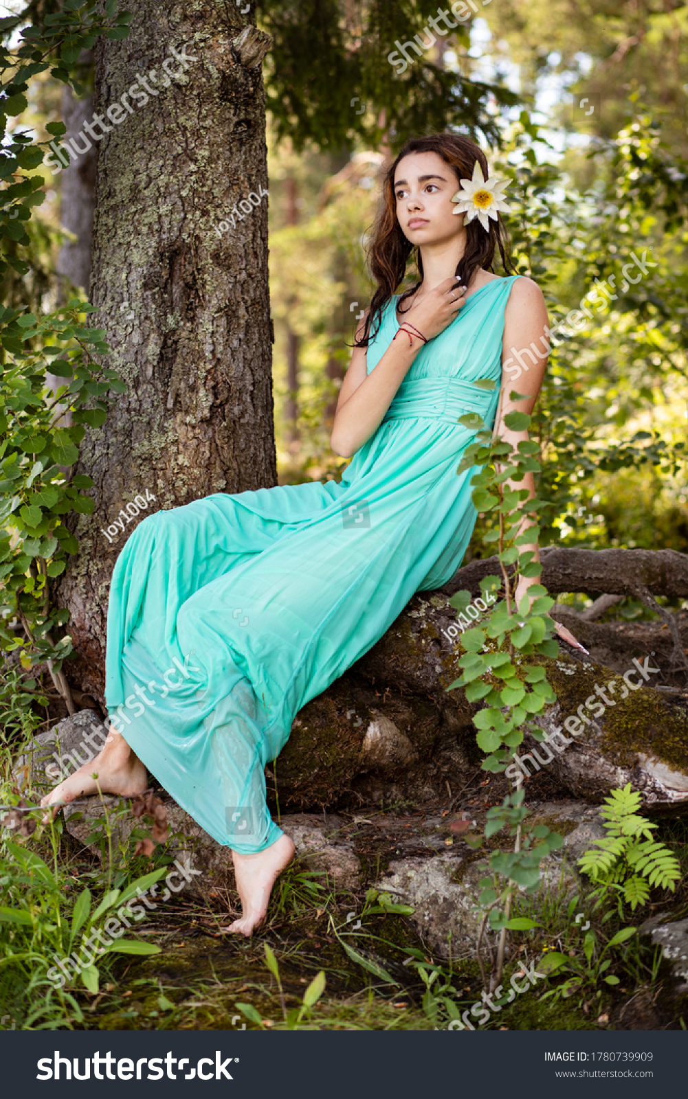 https://image.shutterstock.com/shutterstock/photos/1780739909/display_1500/stock-photo-beautiful-girl-in-a-blue-dress-with-a-water-lily-in-her-hair-against-the-backdrop-of-a-sunny-forest-1780739909.jpg