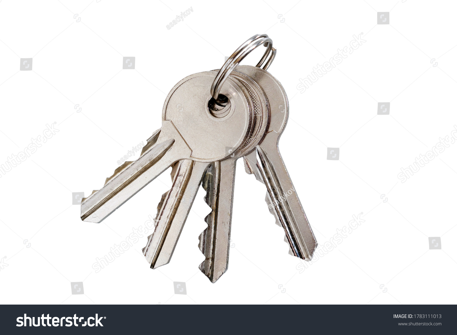 Set Cylinder Lock Keys On Keyring Stock Photo 1783111013 | Shutterstock