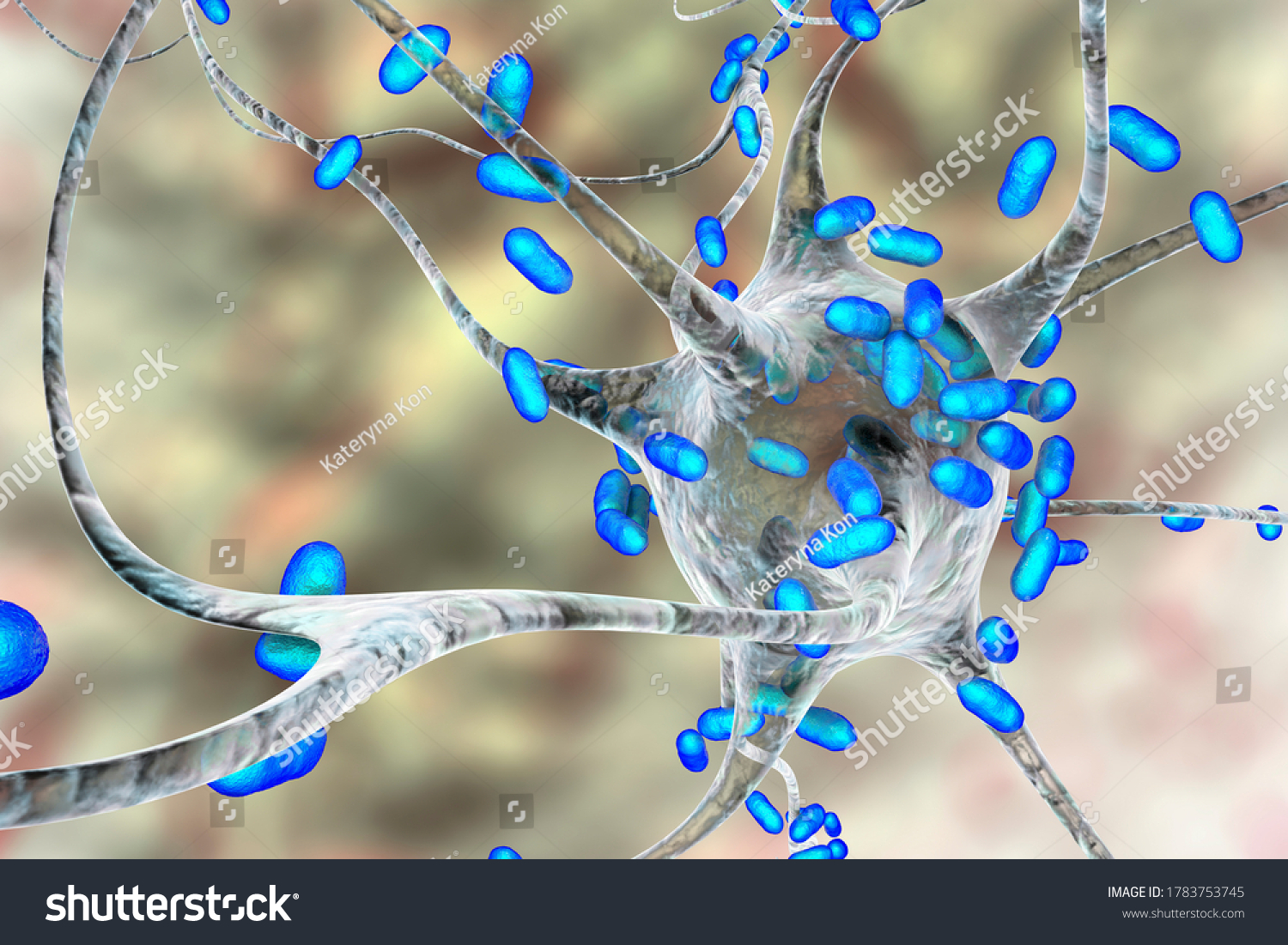 Bacteria Infecting Neuron Brain Cell 3d Stock Illustration 1783753745 ...