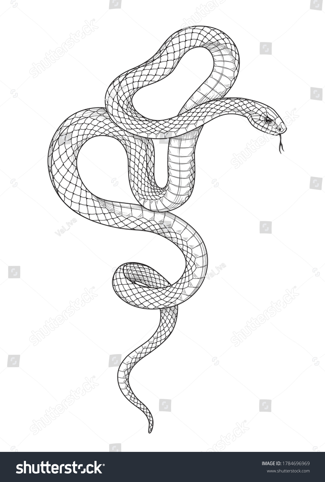 Hand Drawn Twisted Snake Isolated On Stock Vector (royalty Free 