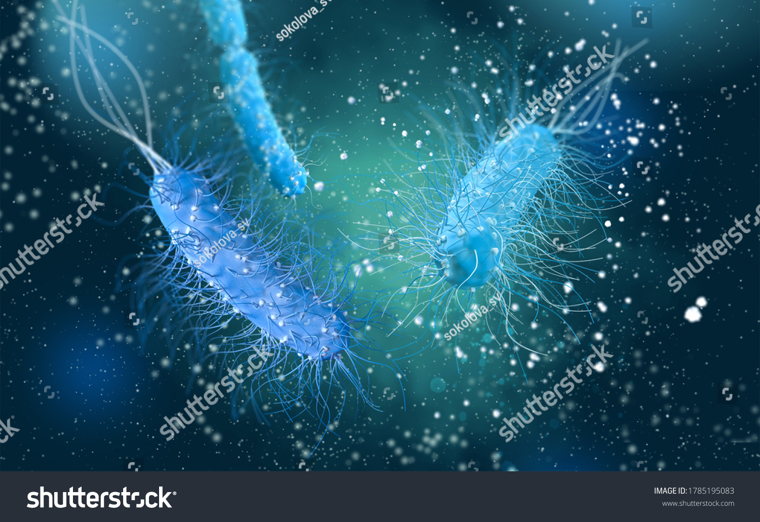 Dangerous Pathogenic Bacteria Escherichia Coli Colibacillus Stock ...