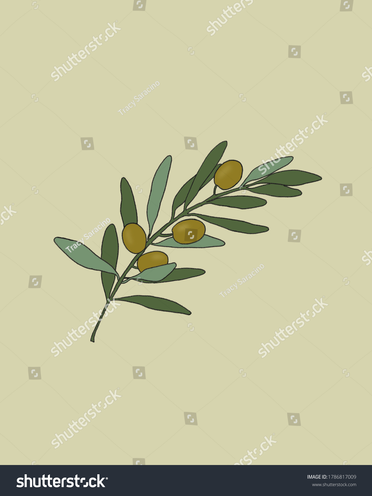 Olive Branch Green Peace Illustration Stock Illustration 1786817009 Shutterstock 