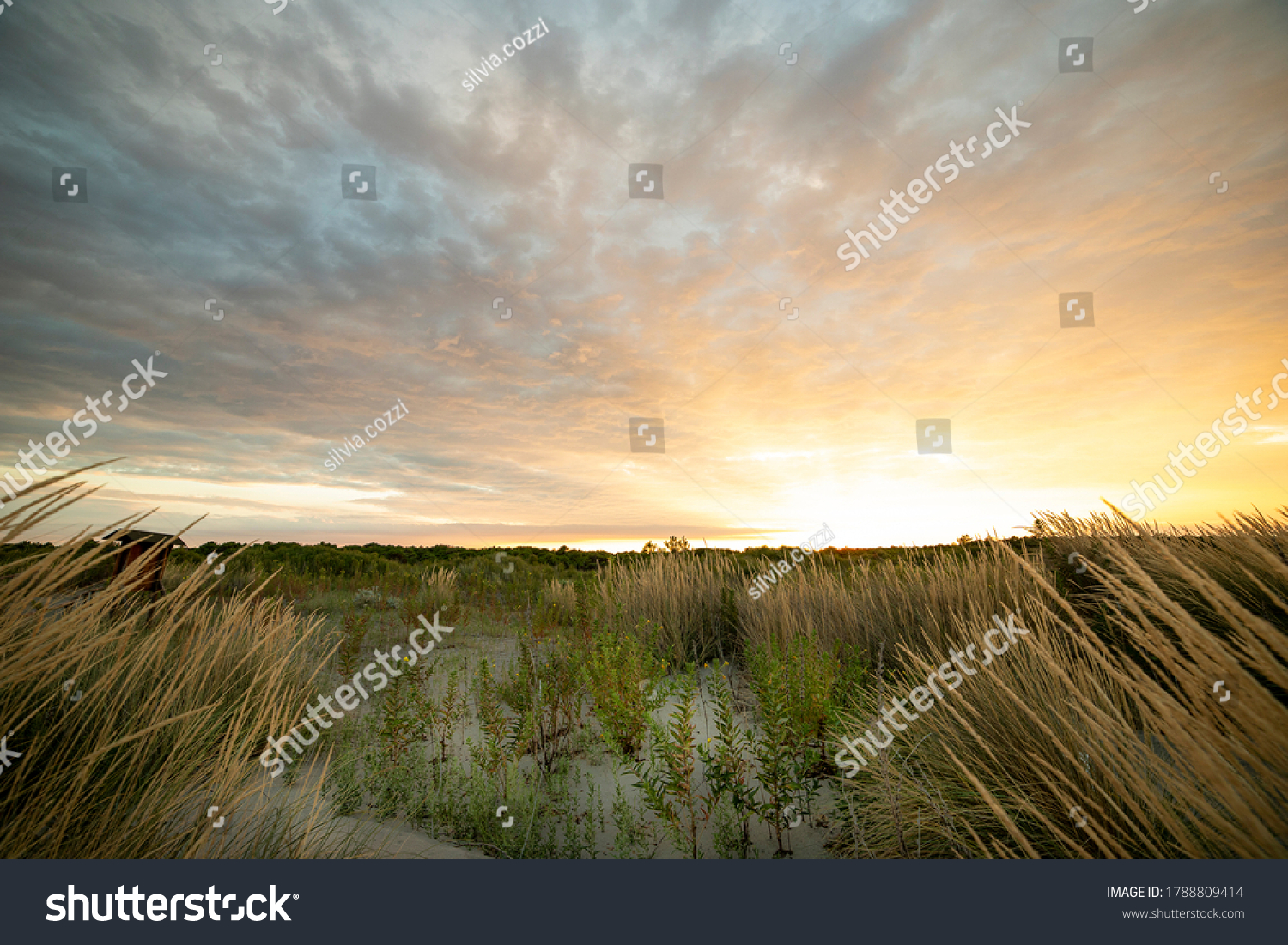 53,495 People beach italy Images, Stock Photos & Vectors | Shutterstock