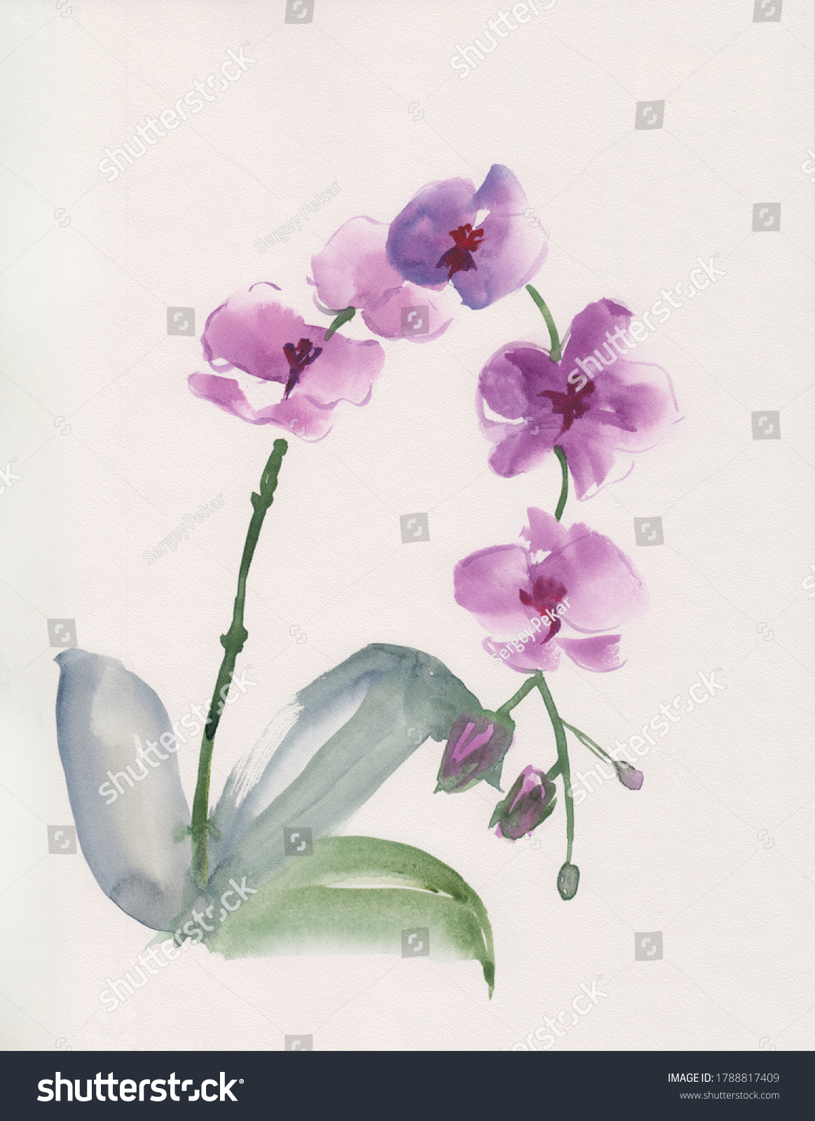 watercolor purple orchids