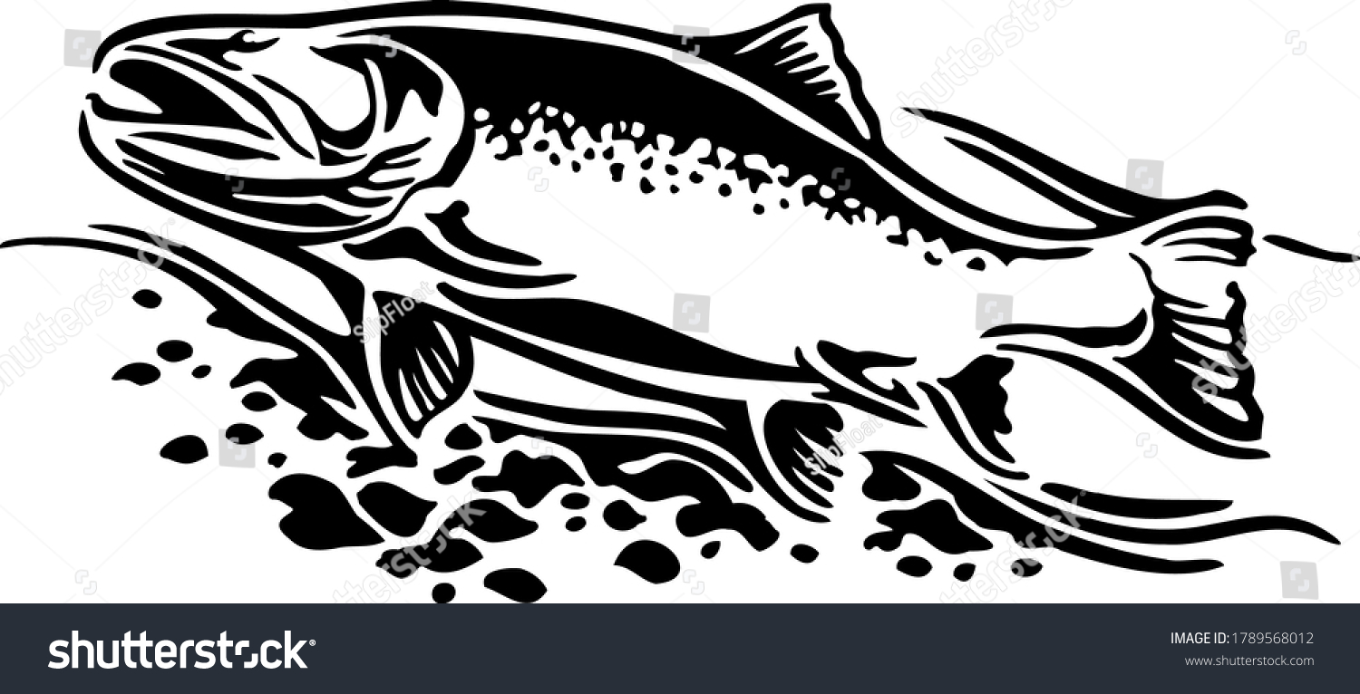 Brook Trout Black White Stock Vector (Royalty Free) 1789568012 ...