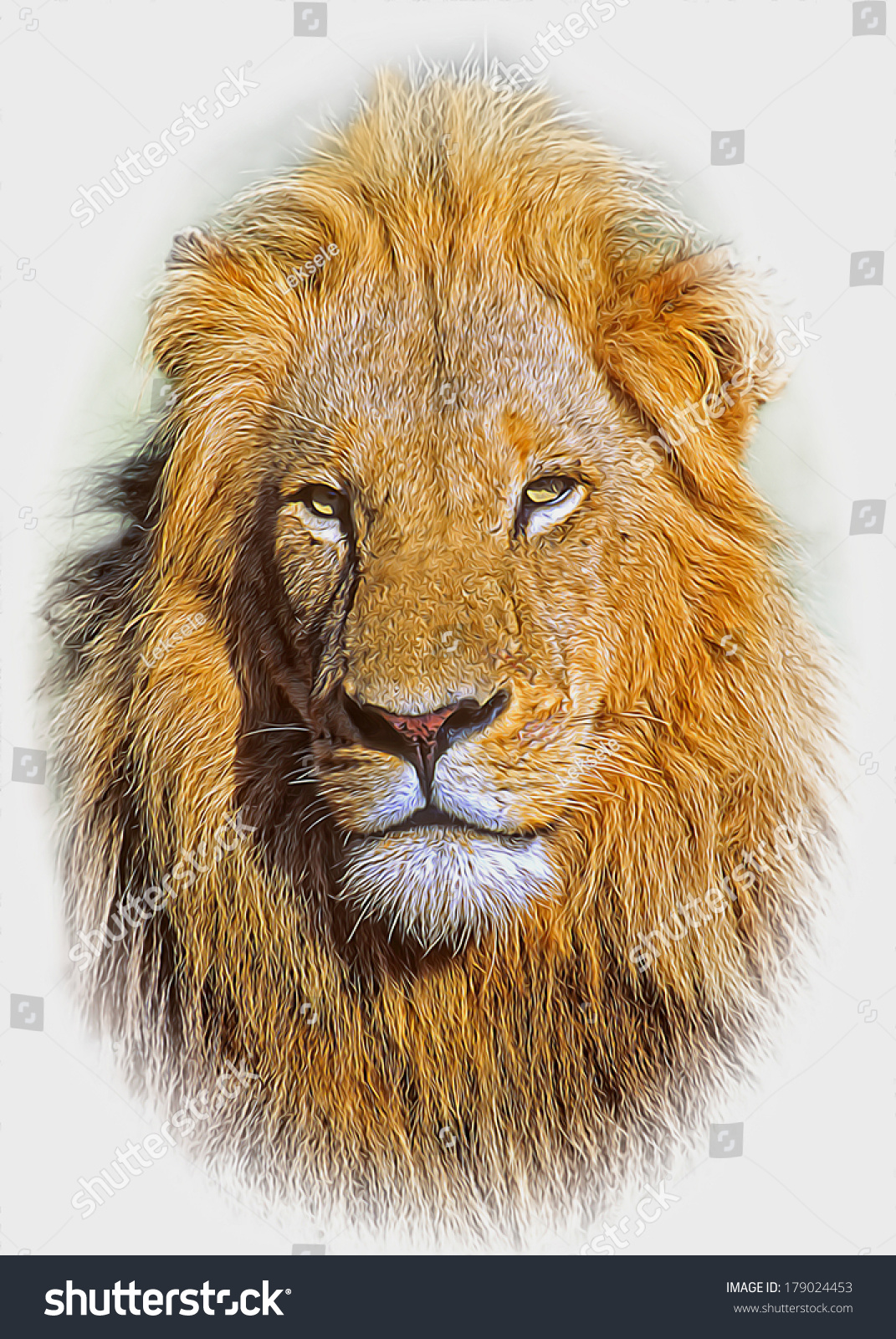 ライオンの水彩イラスト リアルなポートレート 白い背景にライオンの頭 テンプレート 接写 クリップアート 手描き 絵 のイラスト素材 Shutterstock