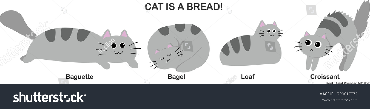 Cat Bread Various Cat Position That Stock Vector (Royalty Free ...