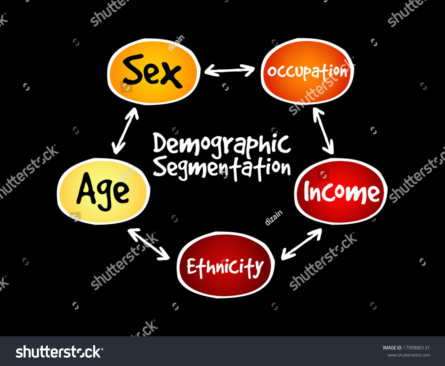 Demographic Segmentation Mind Map Flowchart Social Stock Illustration ...