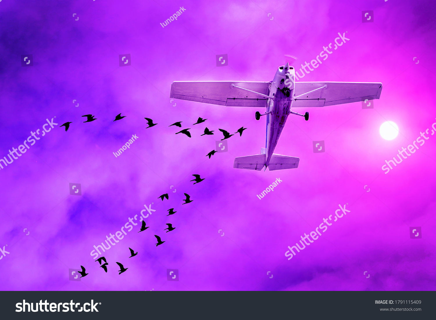 airliner-landing-flock-birds-flying-around-stock-photo-1791115409