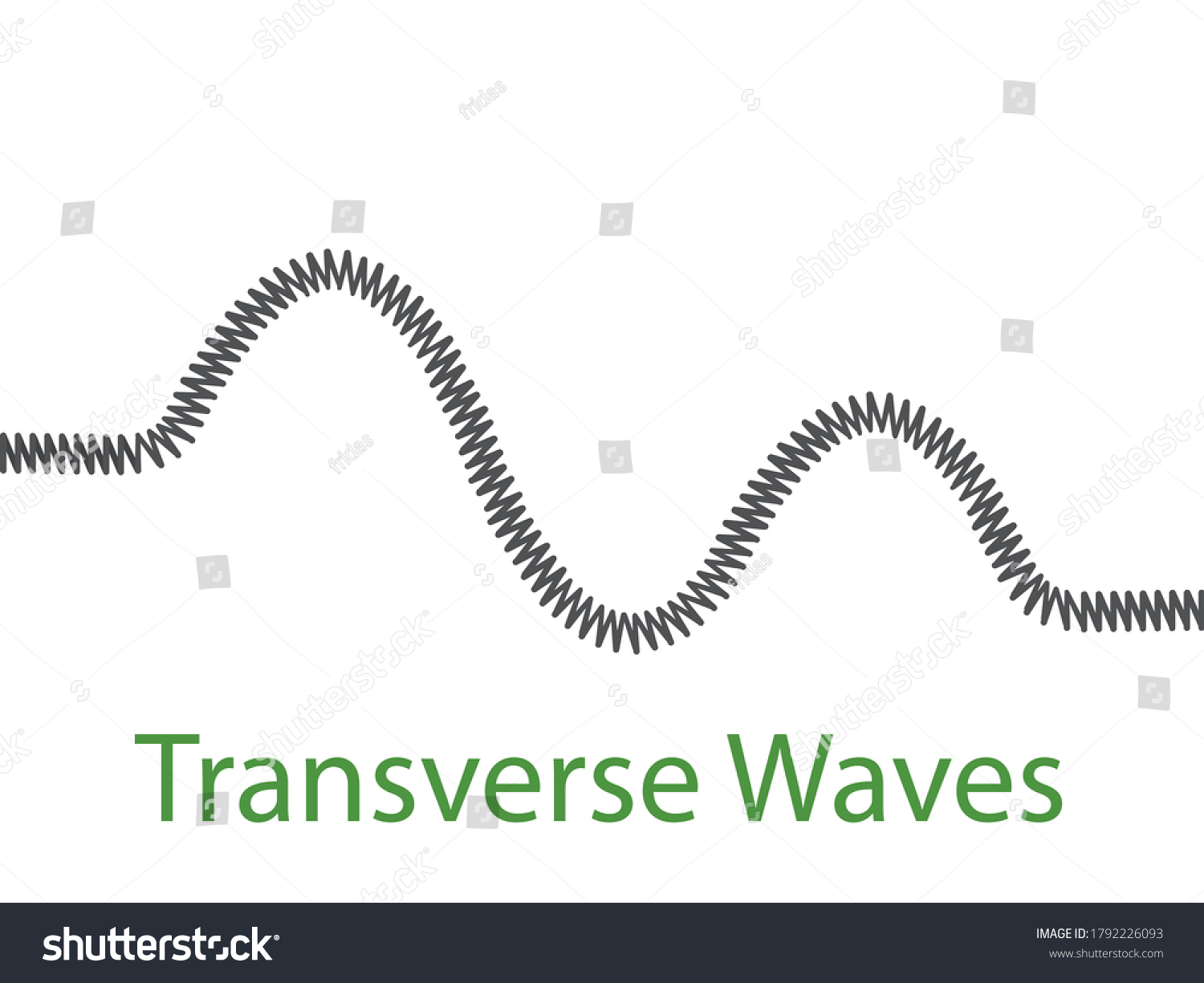 Physics Lesson Topic Transverse Wave Stock Vector Royalty Free