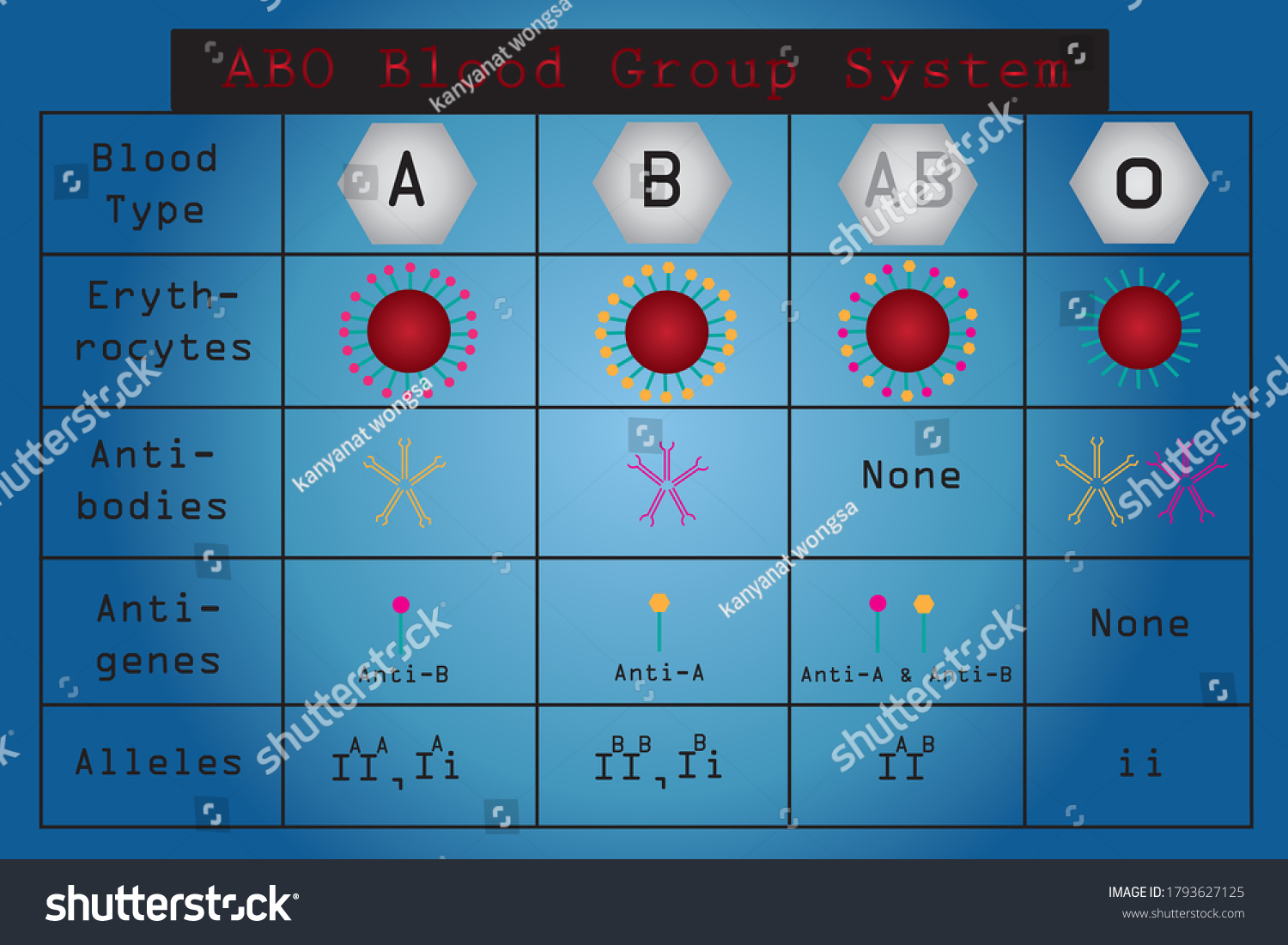 Abo Blood Group System And Allele Of Abo Blood Grou - almuhja.com