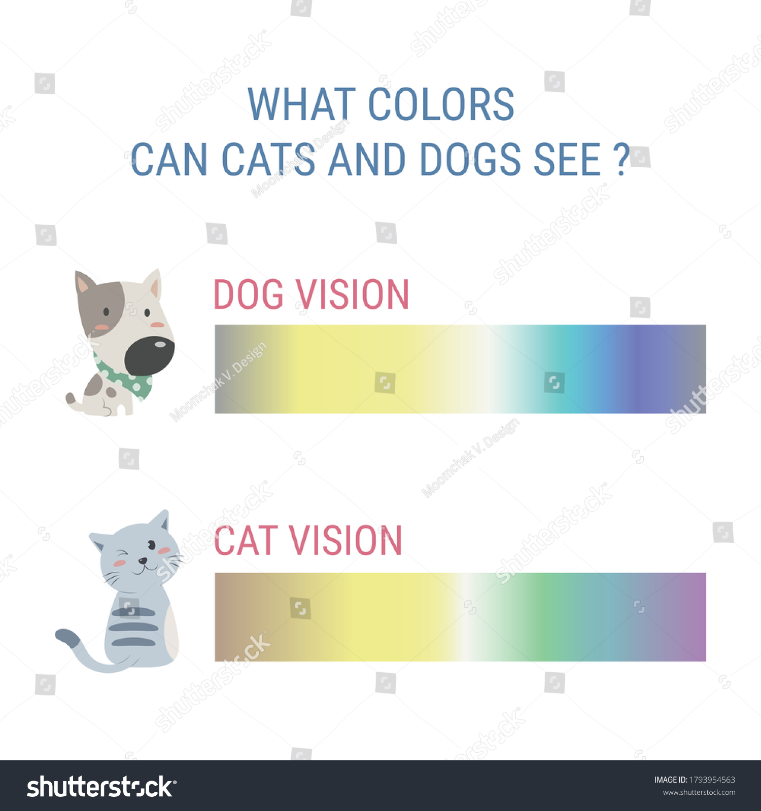 are cats or dogs color blind