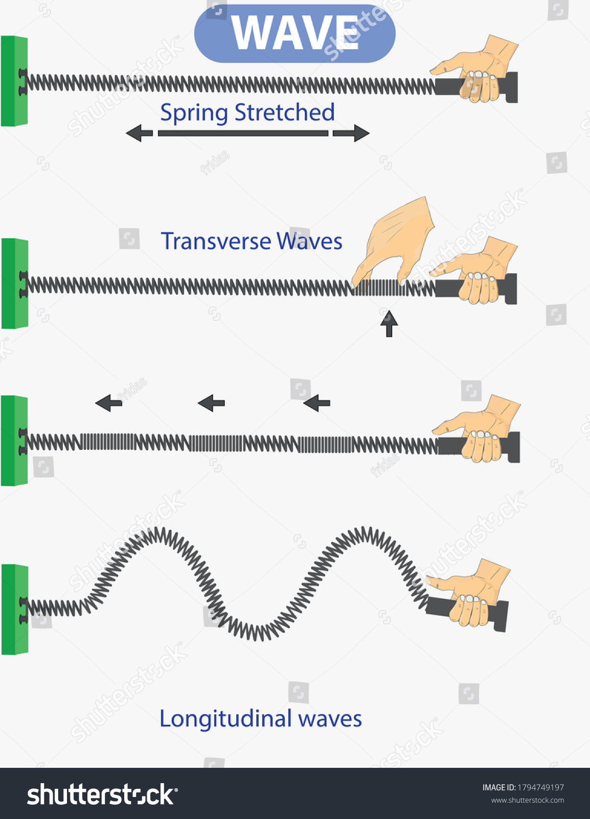 Physics Spring Stretched Transverse Waves Longitudinal Stock Vector