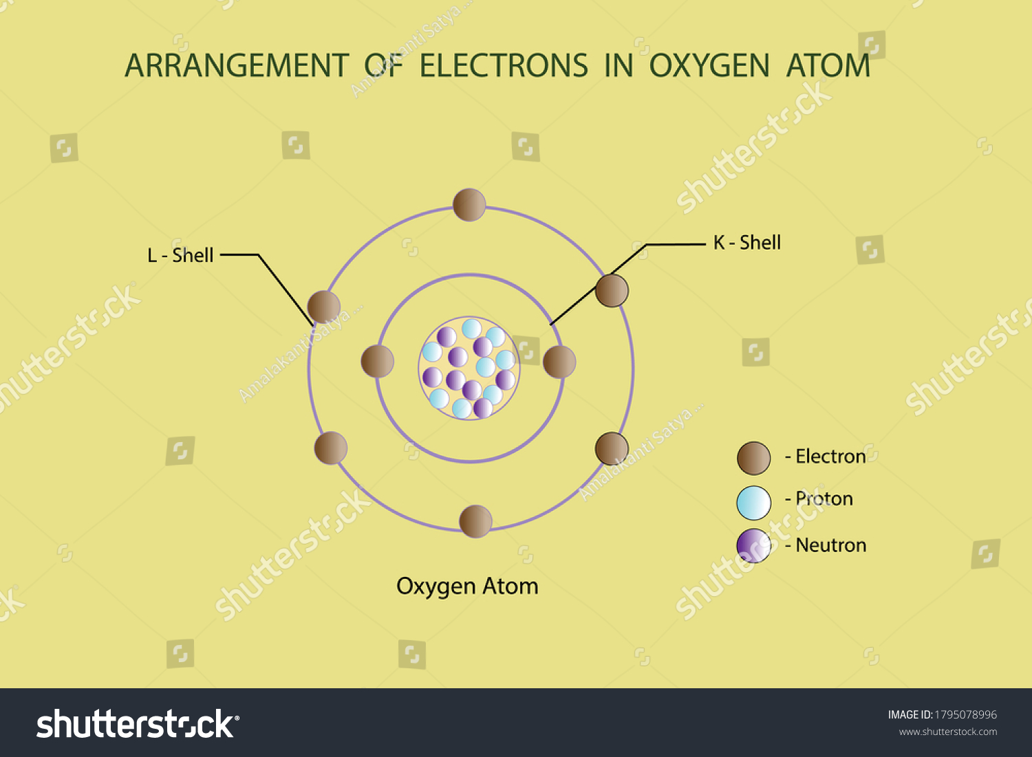 Vector Diagram Arrangement Electrons Nitrogen Atom Stock Vector Royalty Free 1795078996 8169