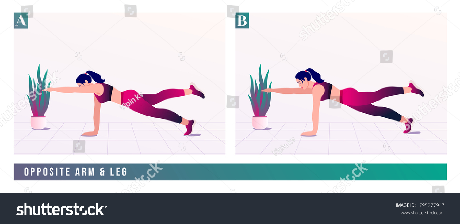 Opposite Arm Leg Exercise Woman Workout Stock Vector (Royalty Free ...