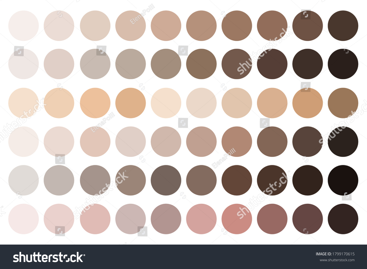 Skin Tones Beige Palette Fundamentals Complexion Stock Vector (Royalty ...