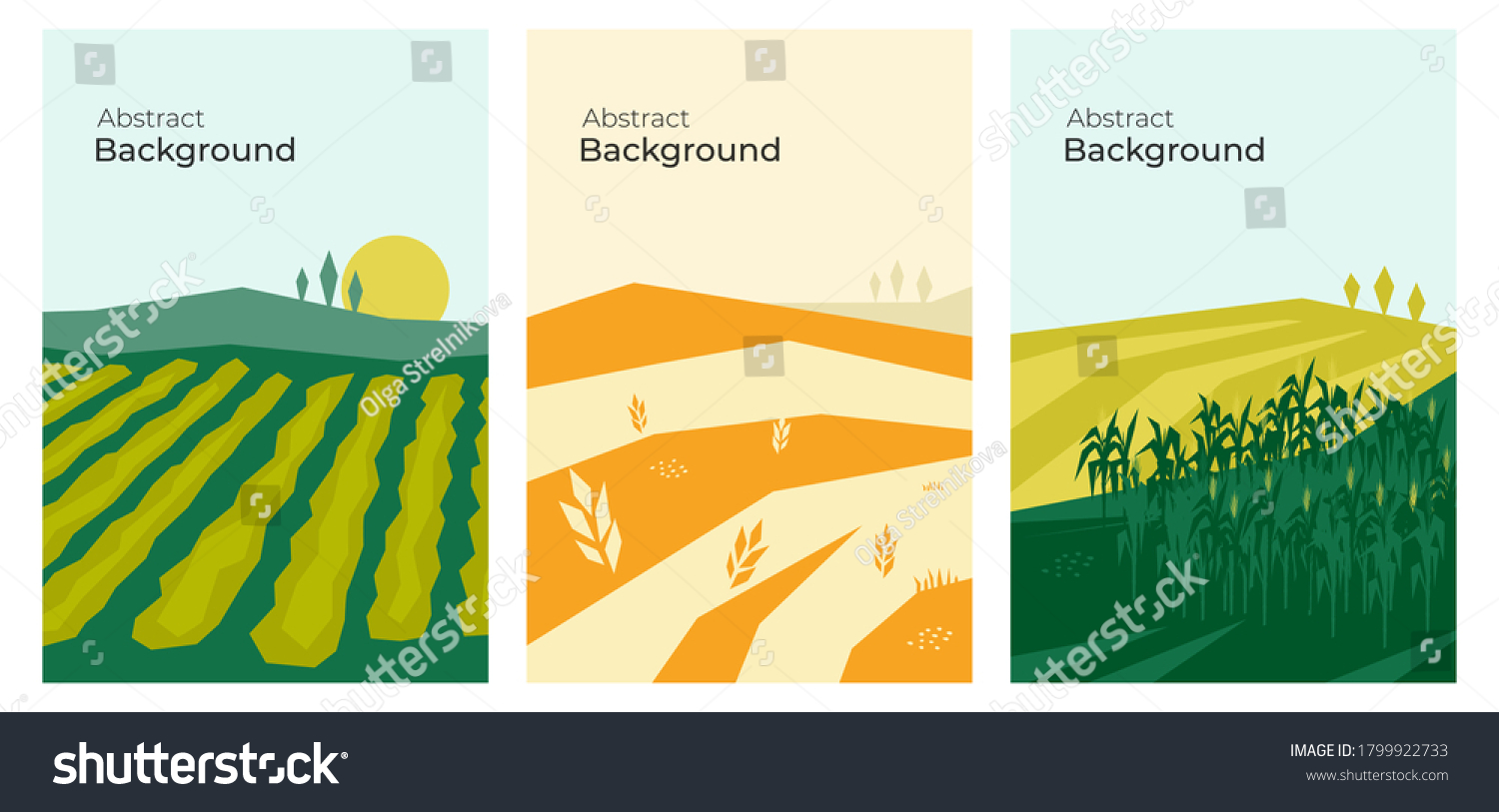 Vector Illustrations Farm Land Agricultural Fields Stock Vector ...