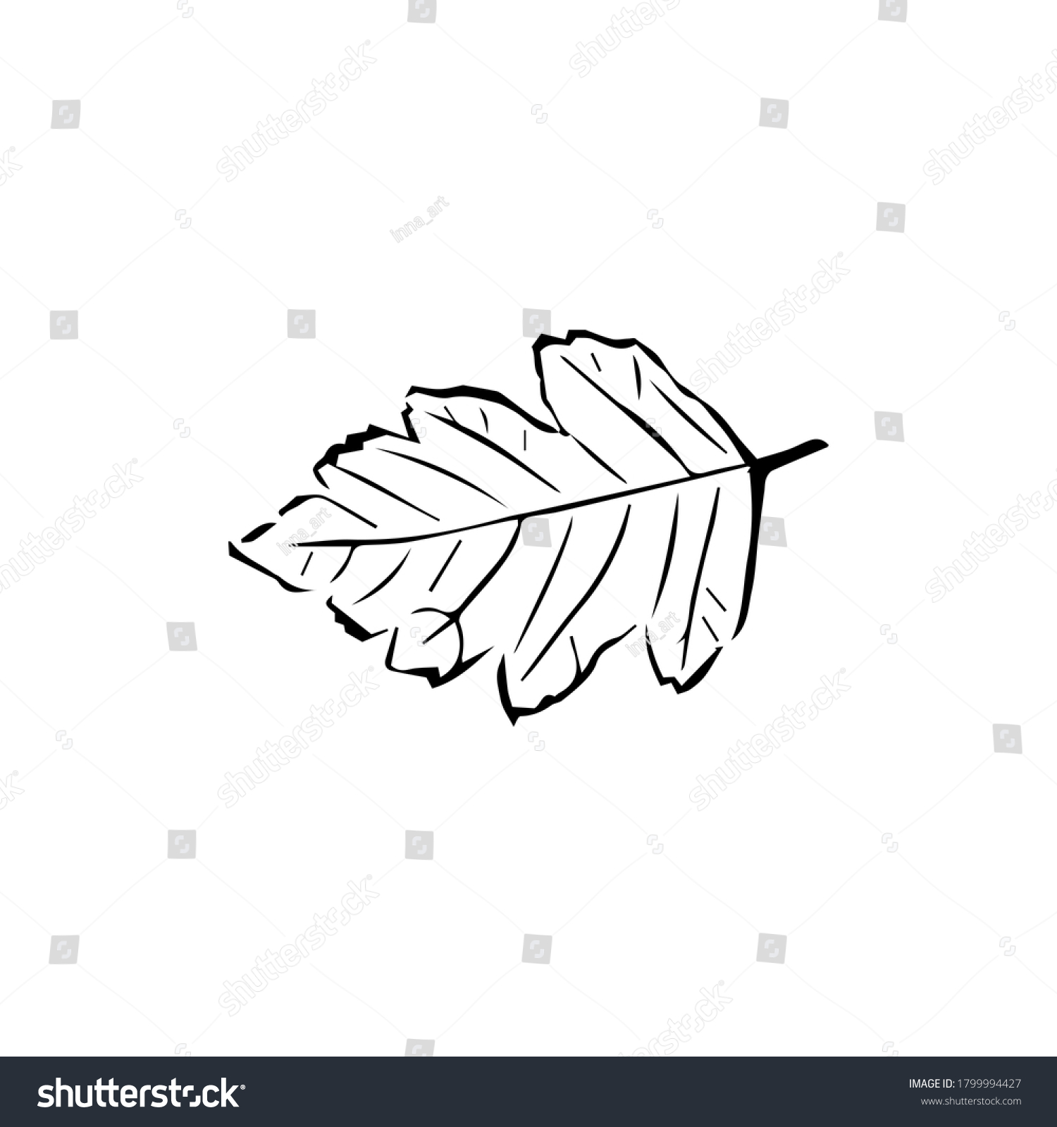 Leaves Graphic Drawing Black White Vector Stock Vector (Royalty Free ...