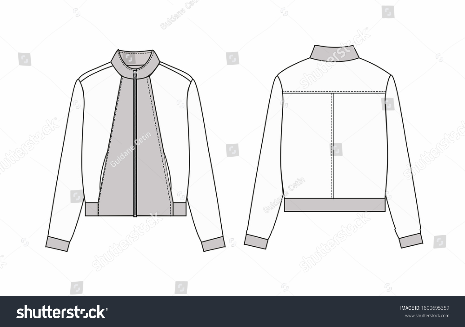 Womens Fashion Design Drawings Jacket Sketches Stock Illustration ...