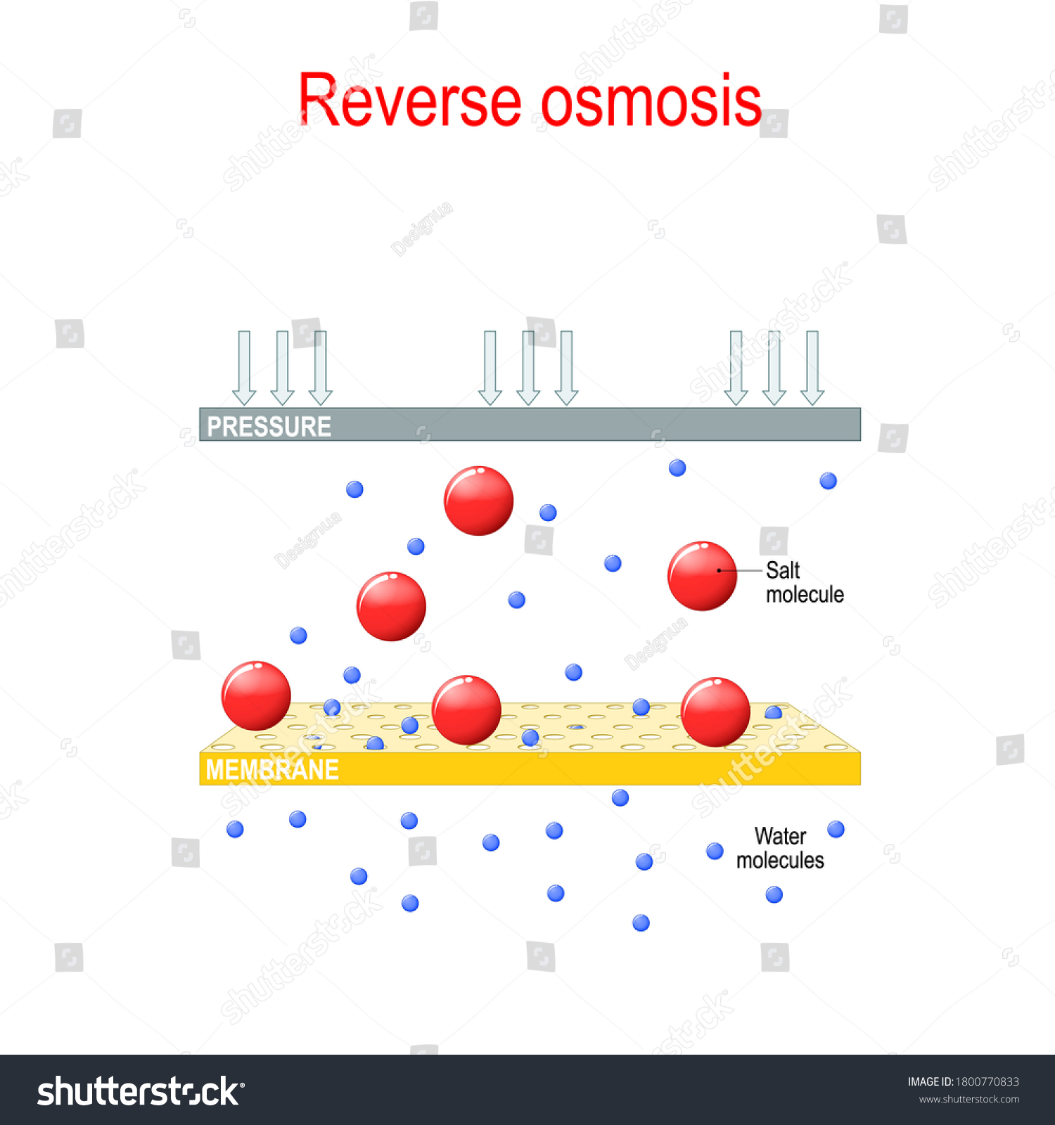 Reverse Osmosis Principle Reverse Osmosis Desalination Stock Vector ...