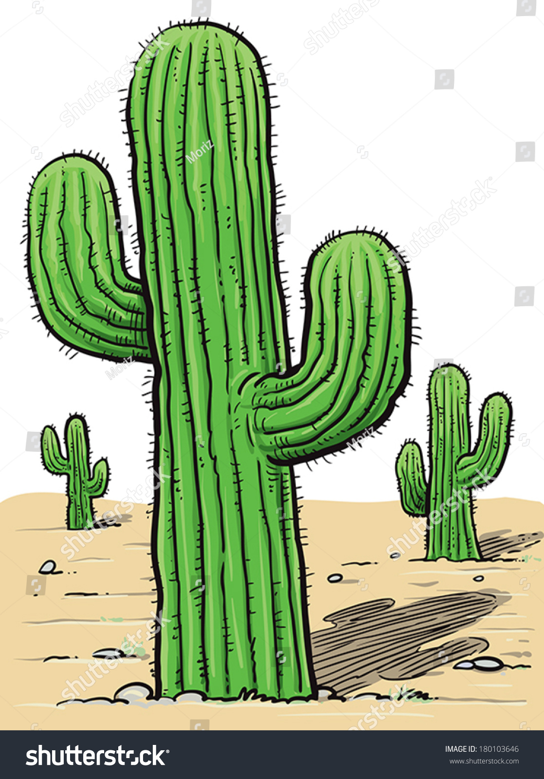 Vektor Stok Draw Cactus Desert (Tanpa Royalti) 180103646 Shutterstock